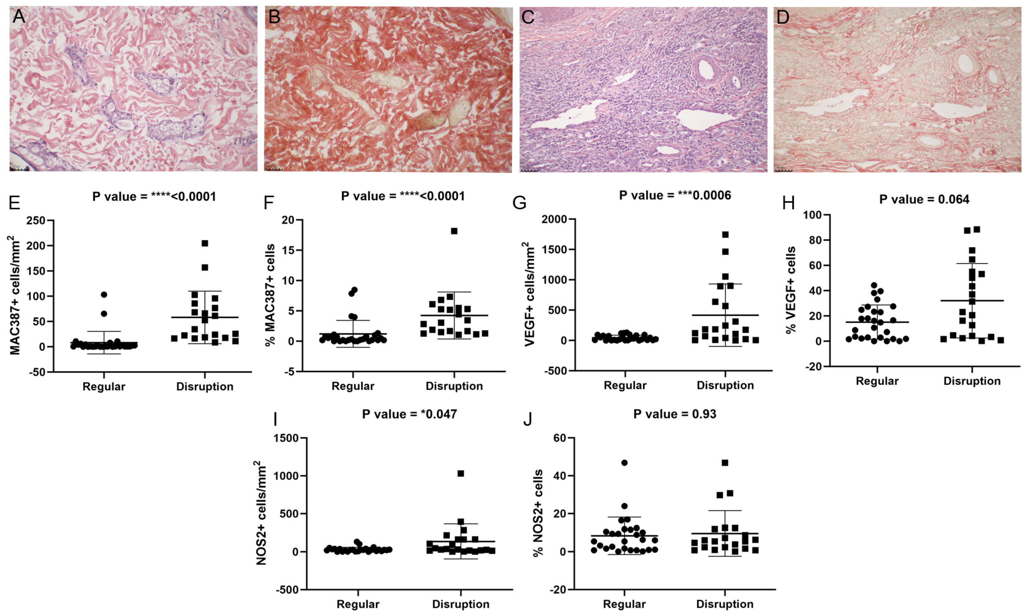Pathogens 13 00371 g008