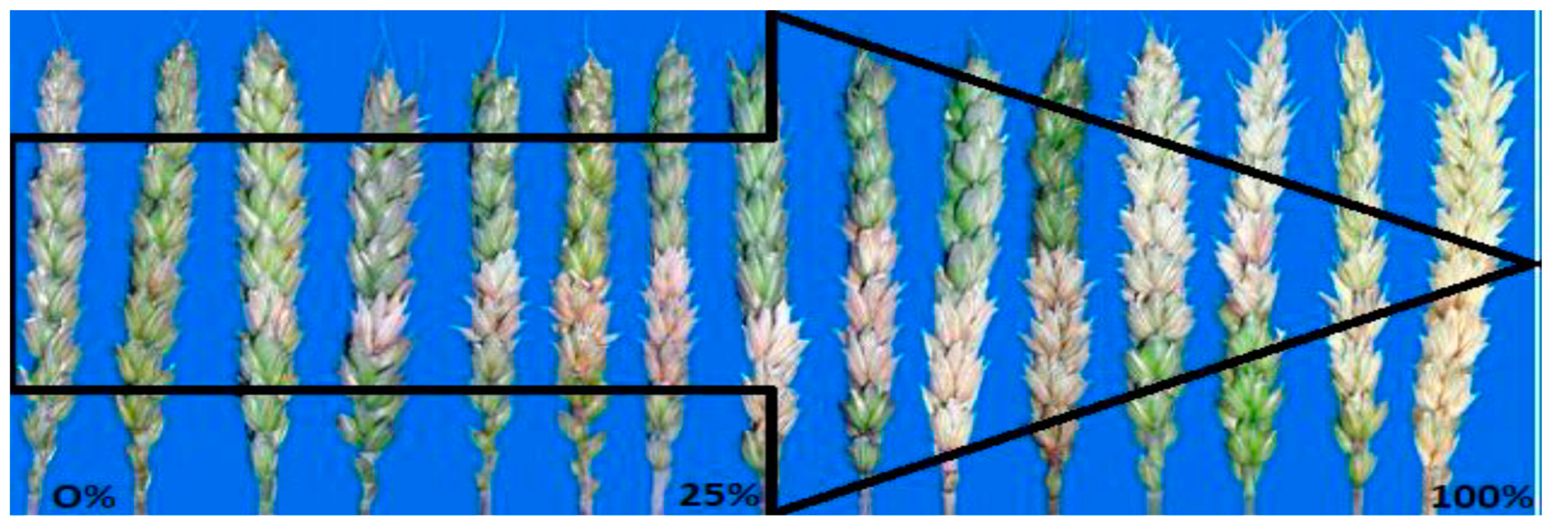 Pathogens 13 00372 g002