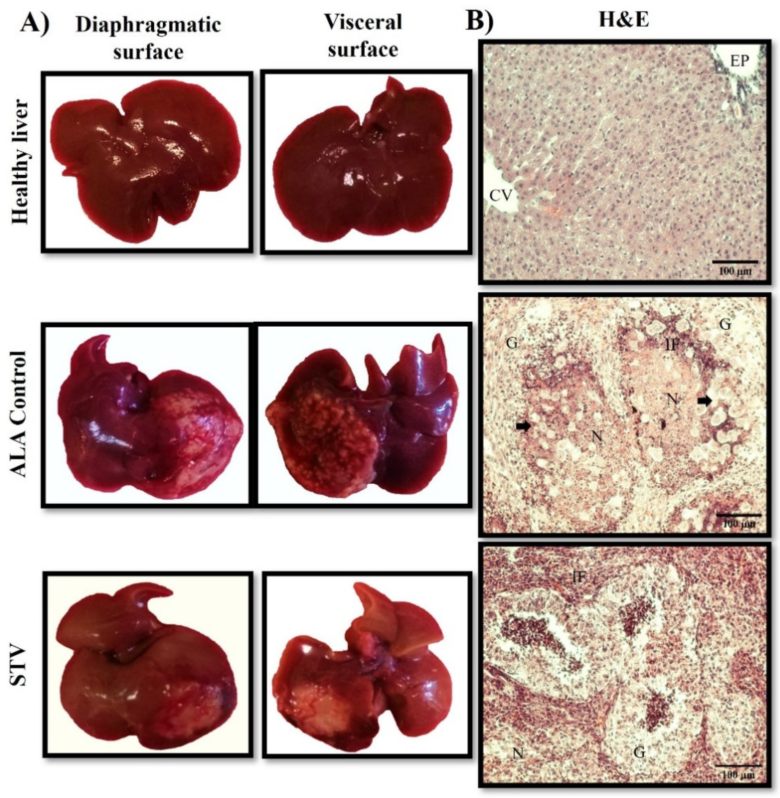 Pathogens 13 00373 g009