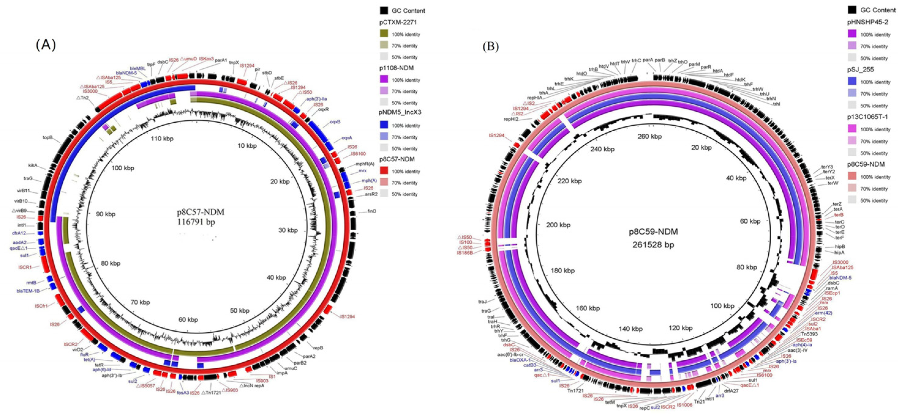 Pathogens 13 00387 g004