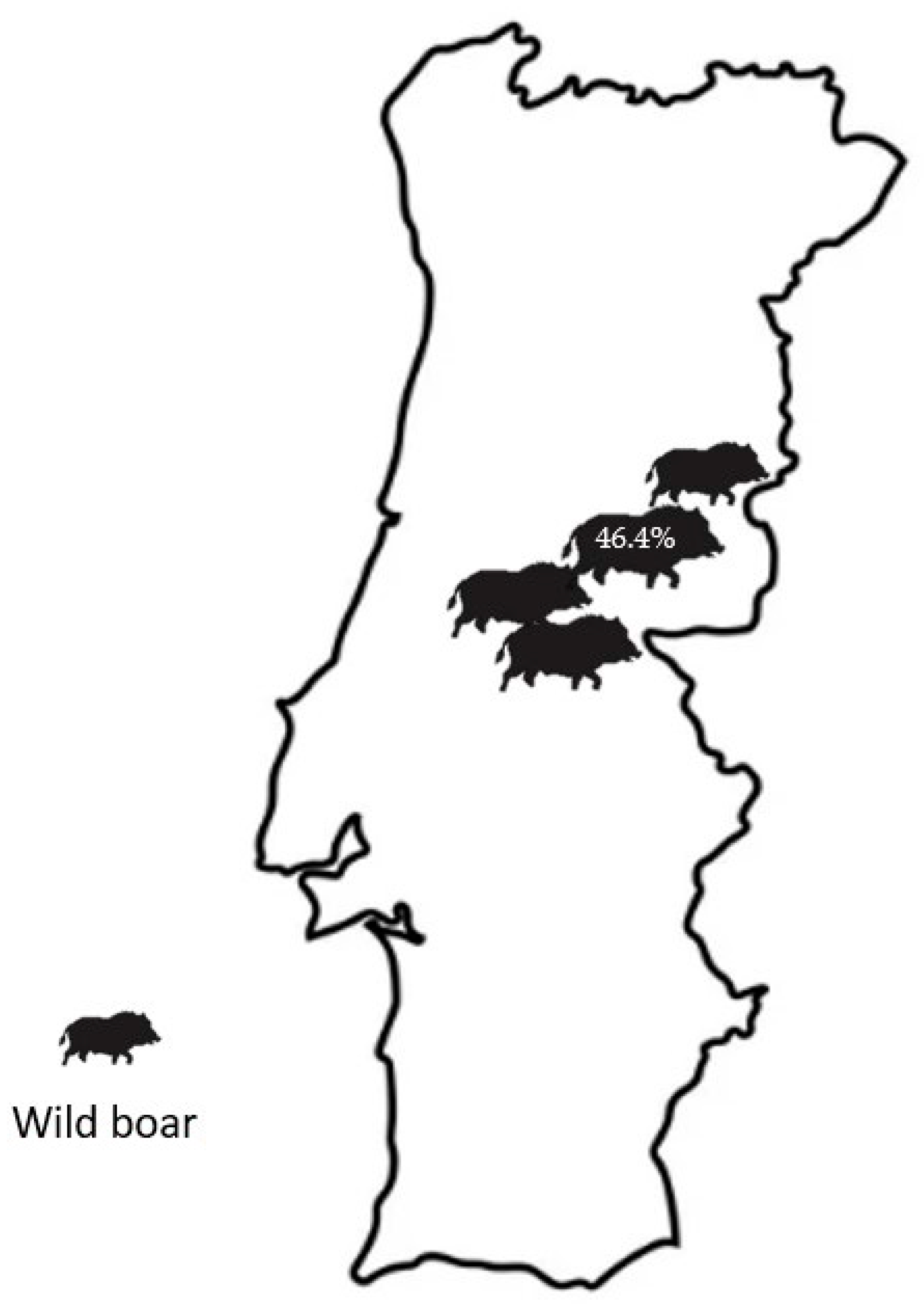 Pathogens 13 00389 g001