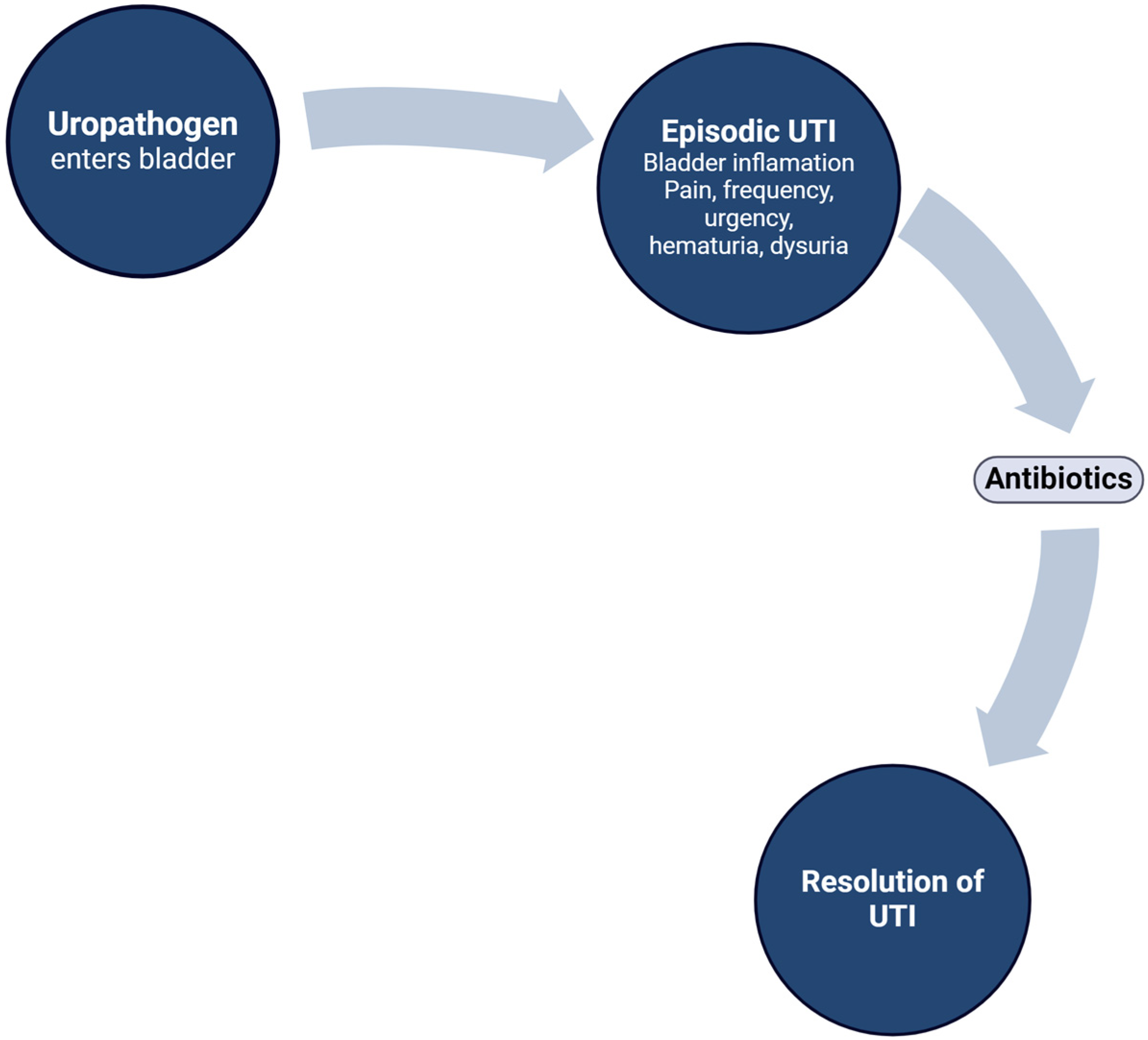 Pathogens 13 00396 g001
