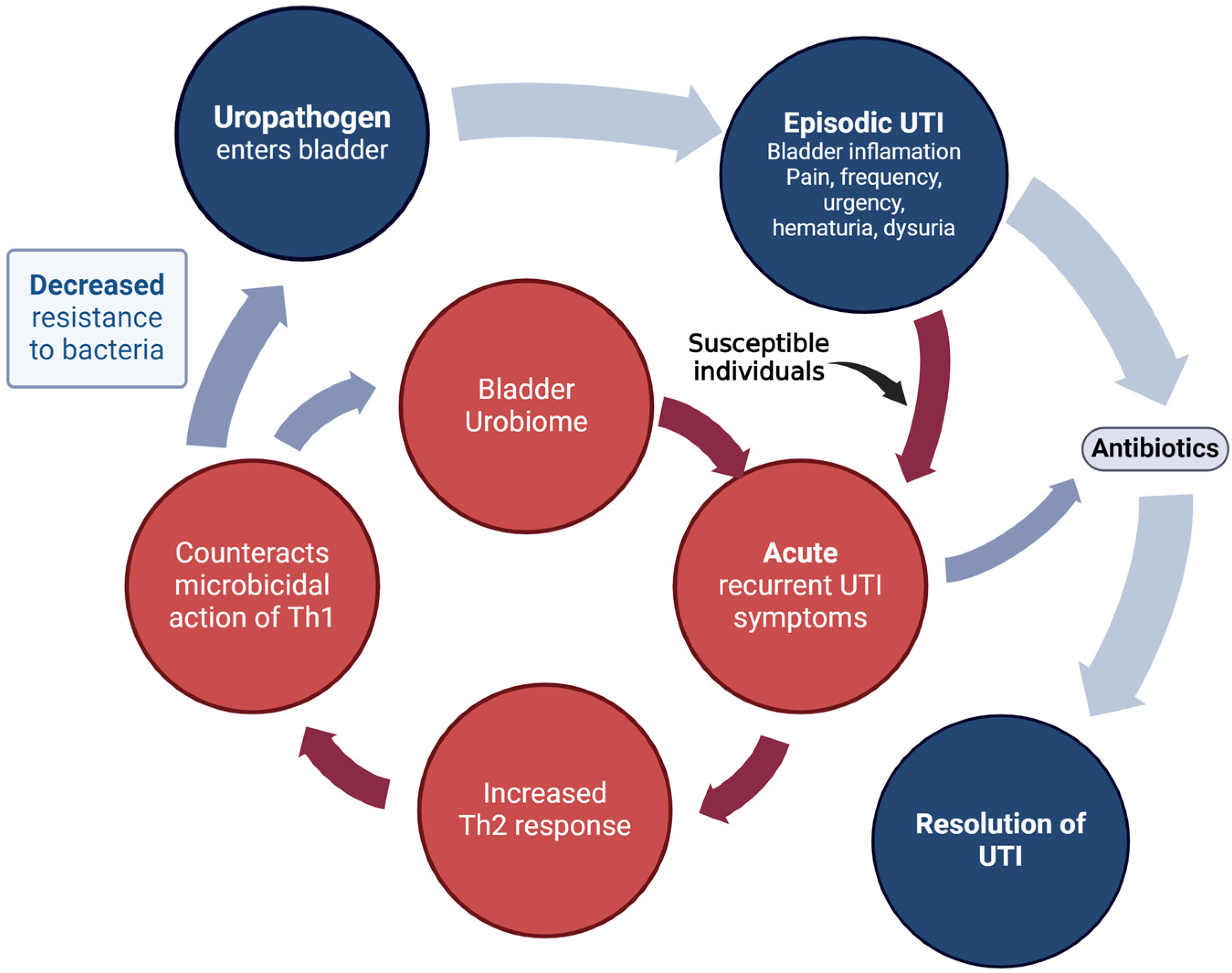 Pathogens 13 00396 g002