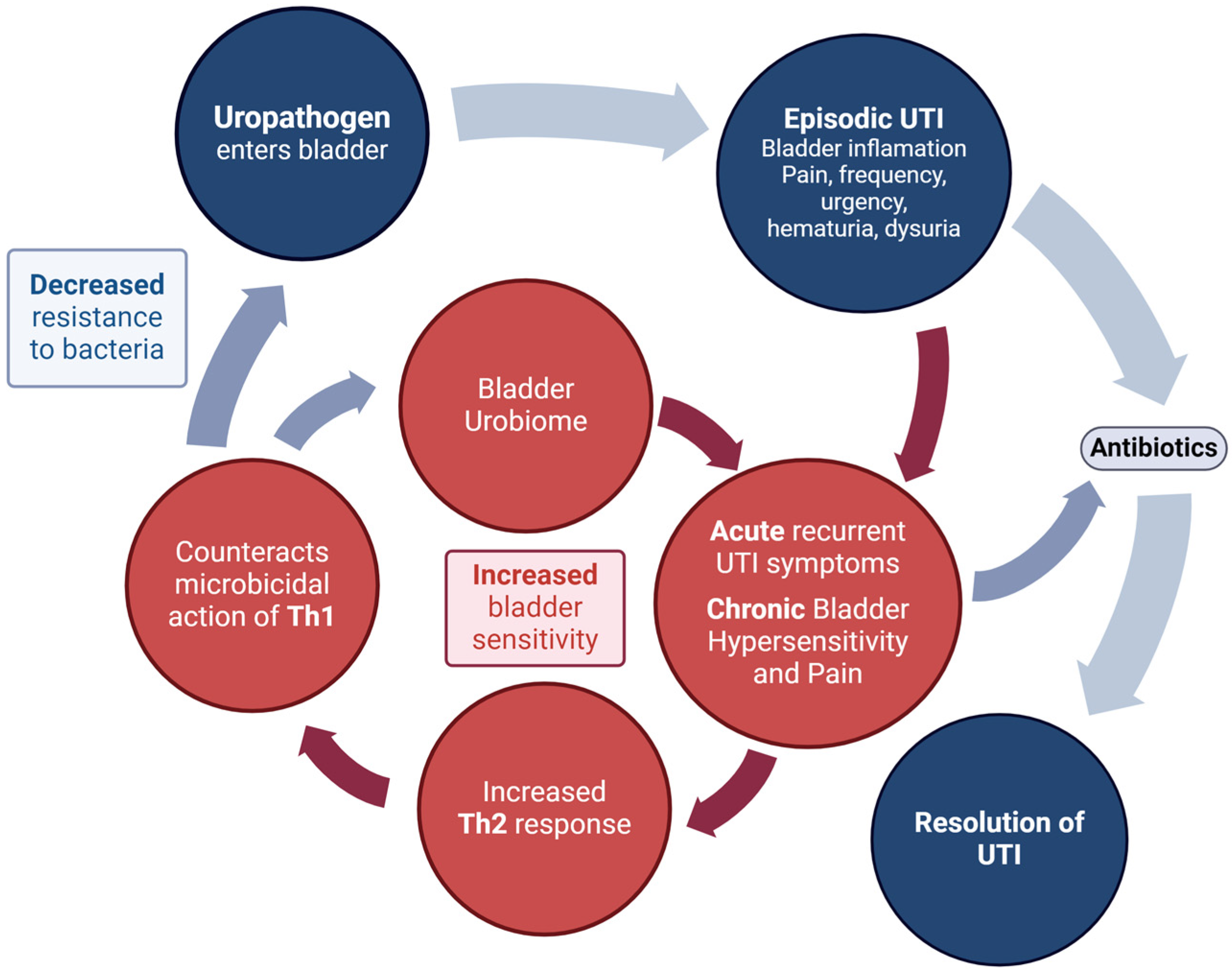 Pathogens 13 00396 g003