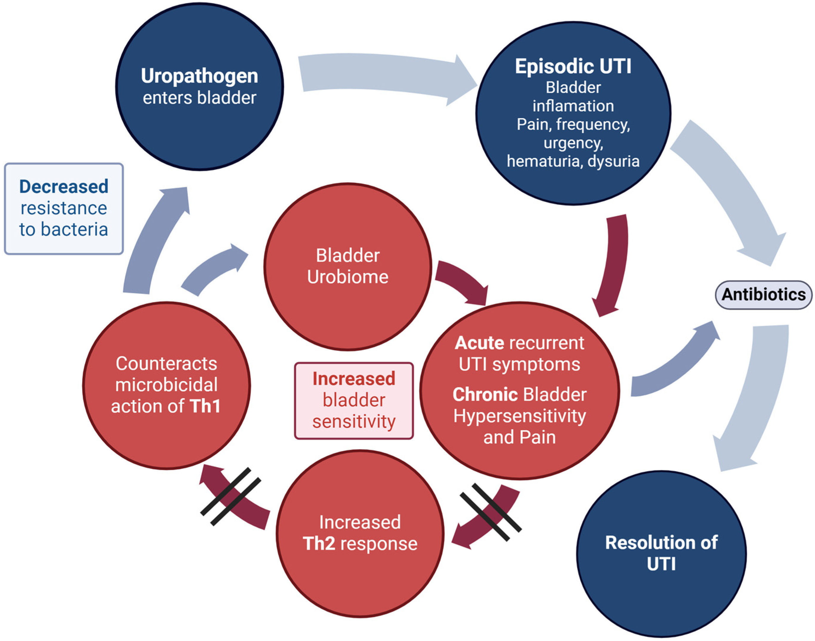 Pathogens 13 00396 g004