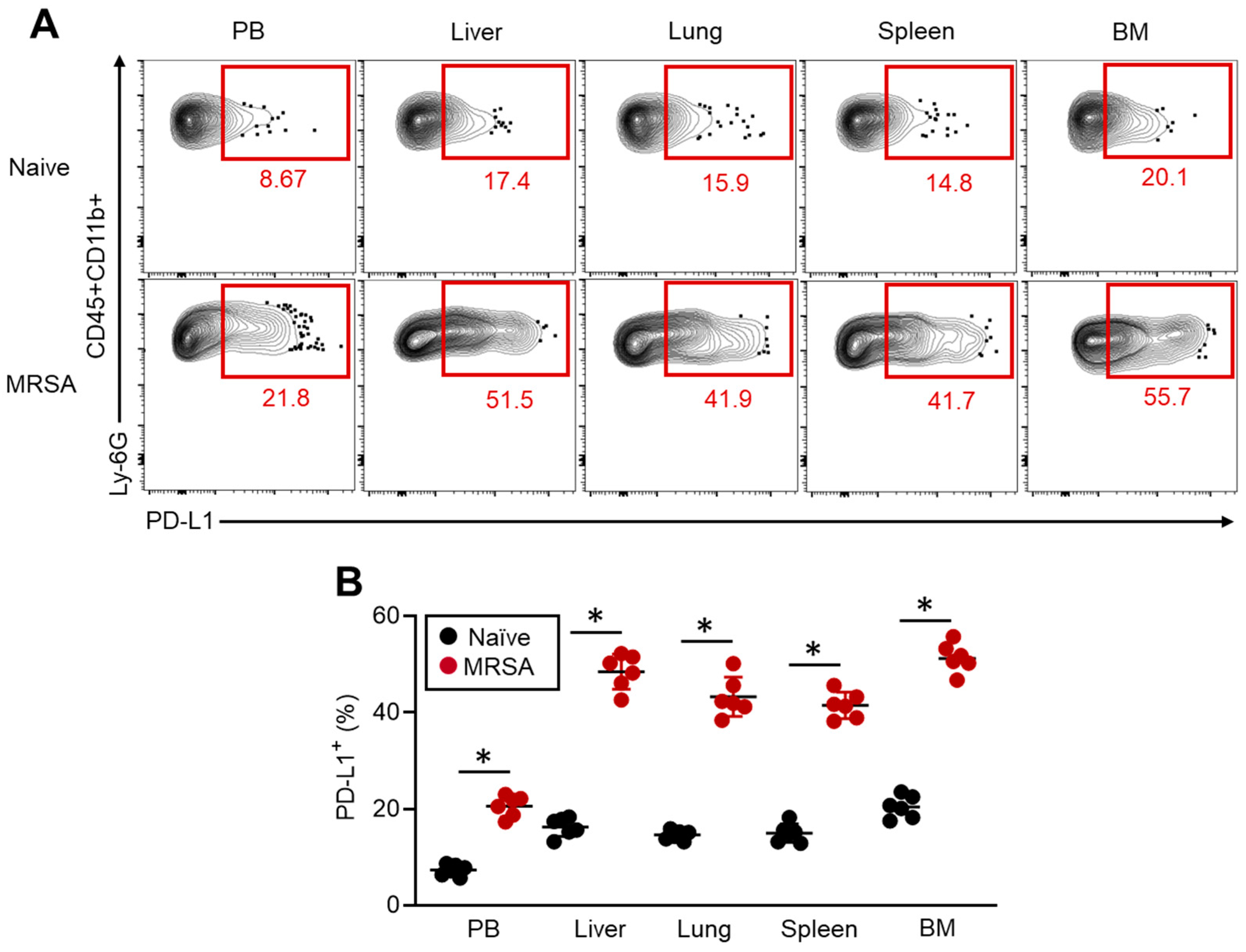 Pathogens 13 00401 g001