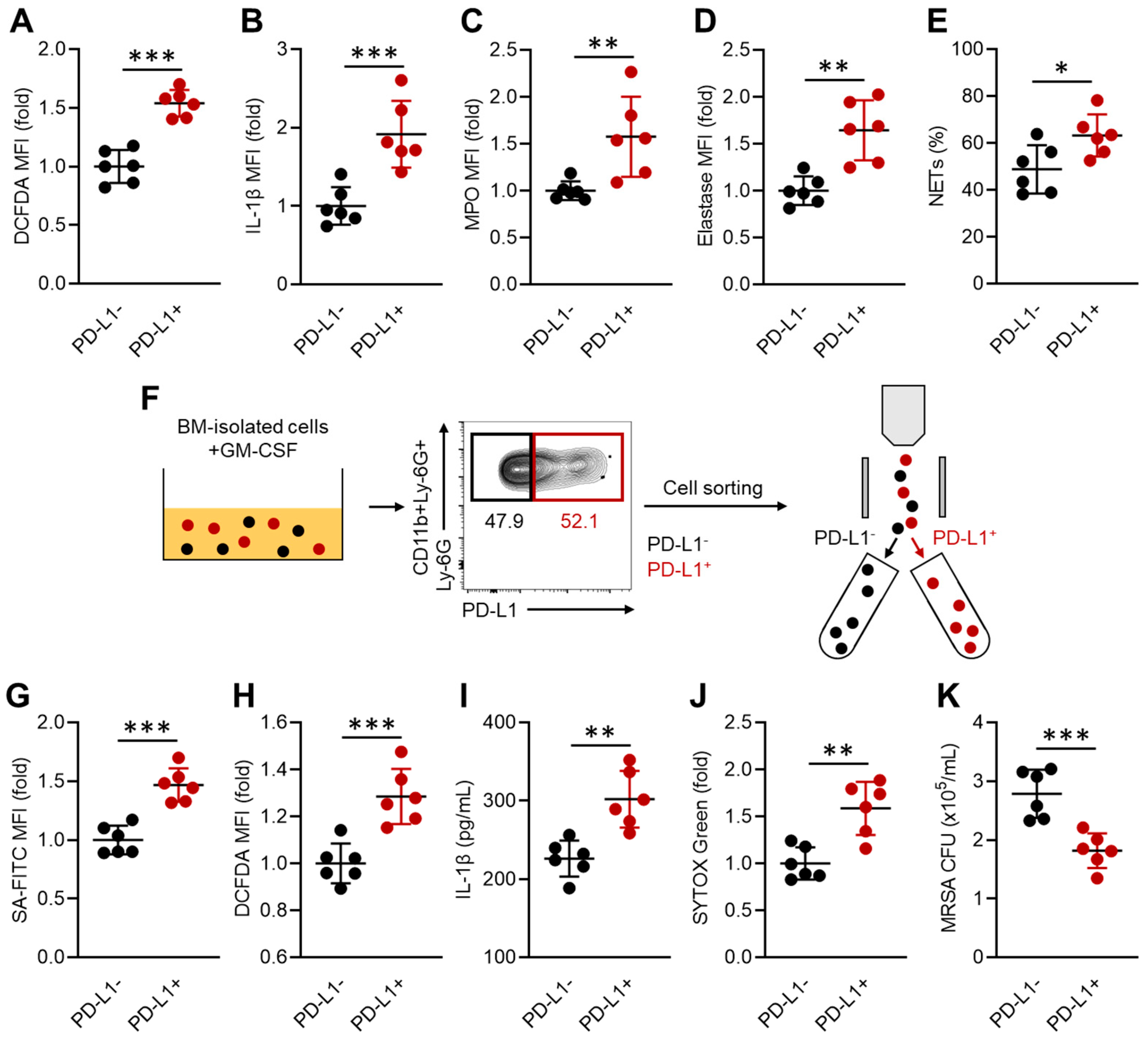 Pathogens 13 00401 g002
