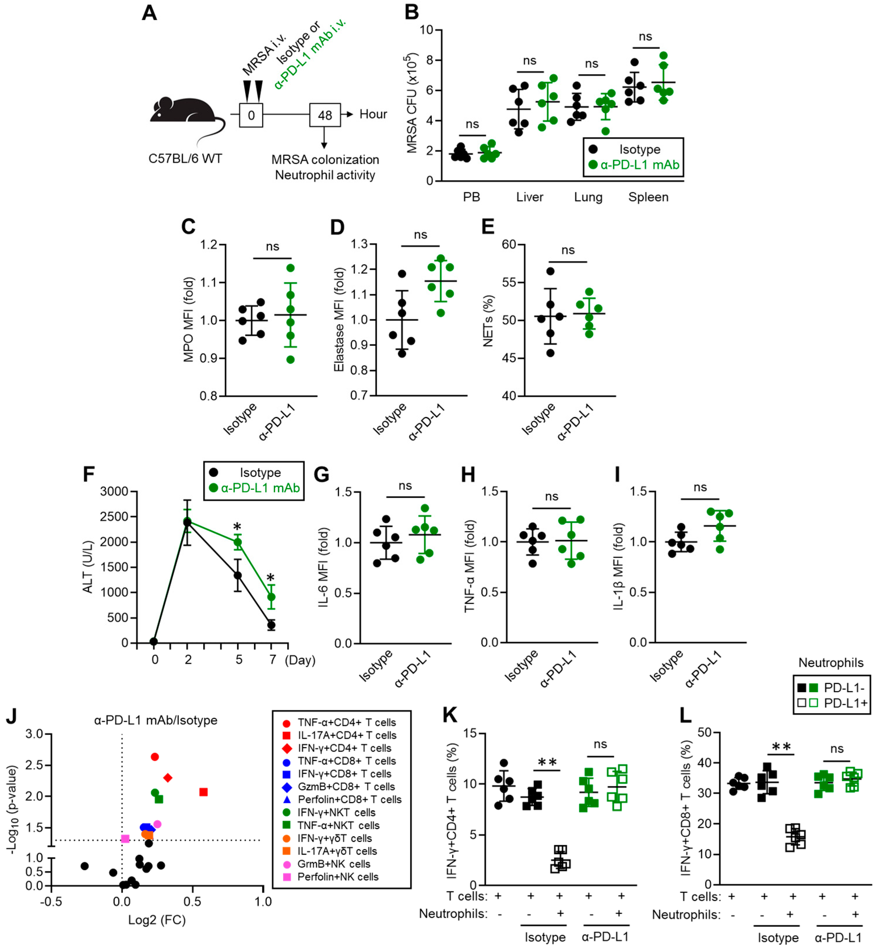 Pathogens 13 00401 g004