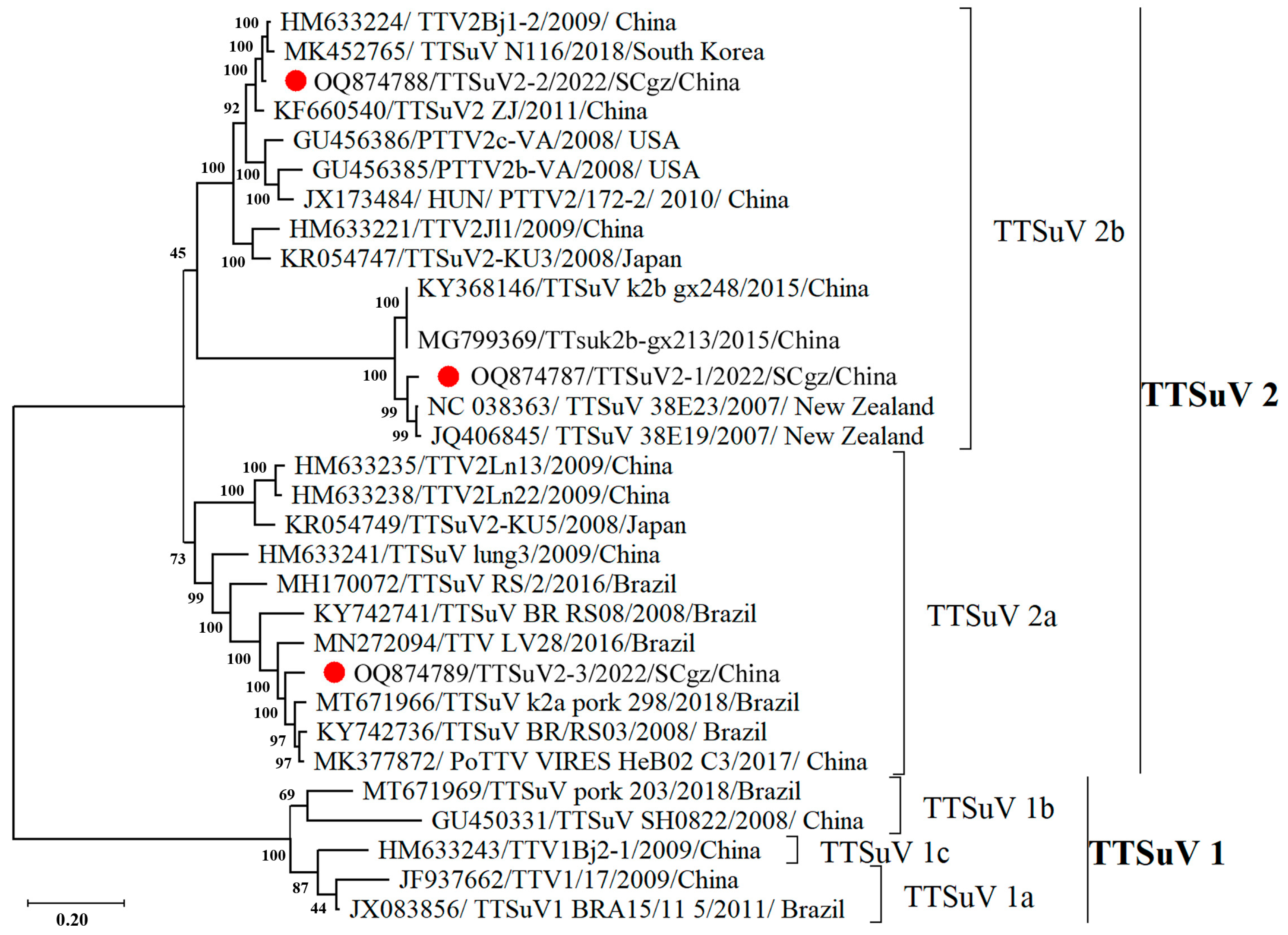 Pathogens 13 00404 g002