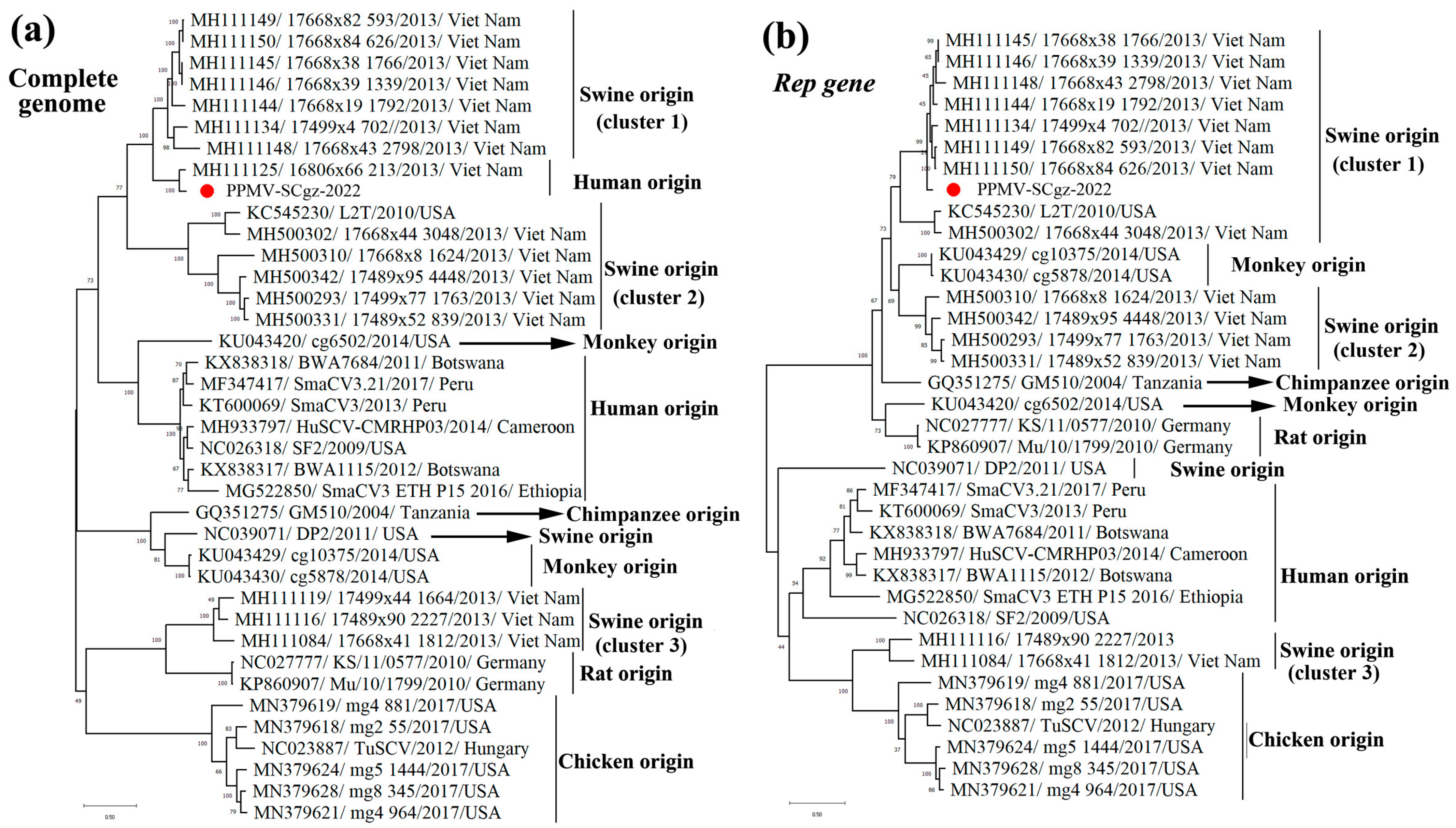 Pathogens 13 00404 g004