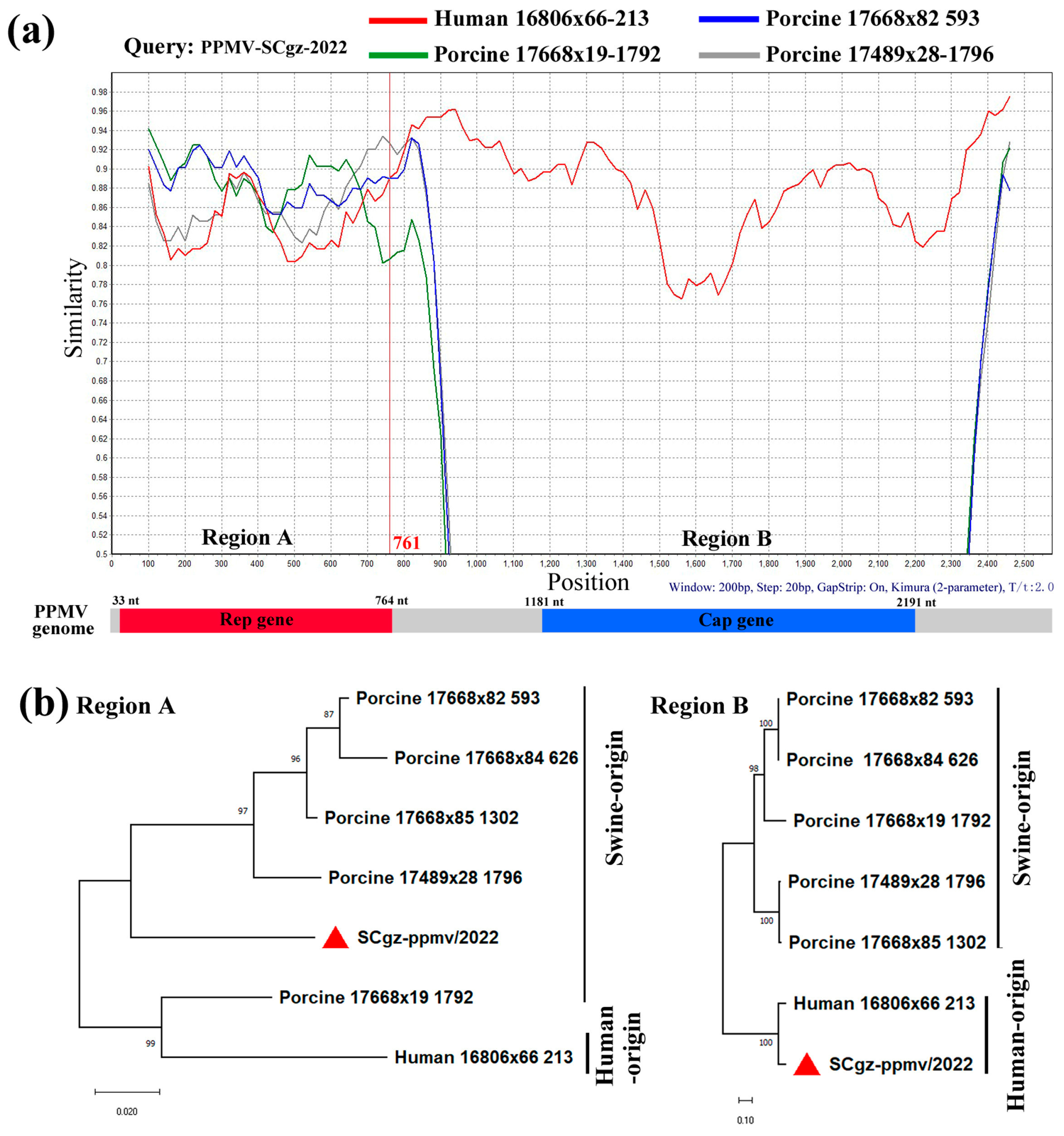 Pathogens 13 00404 g005