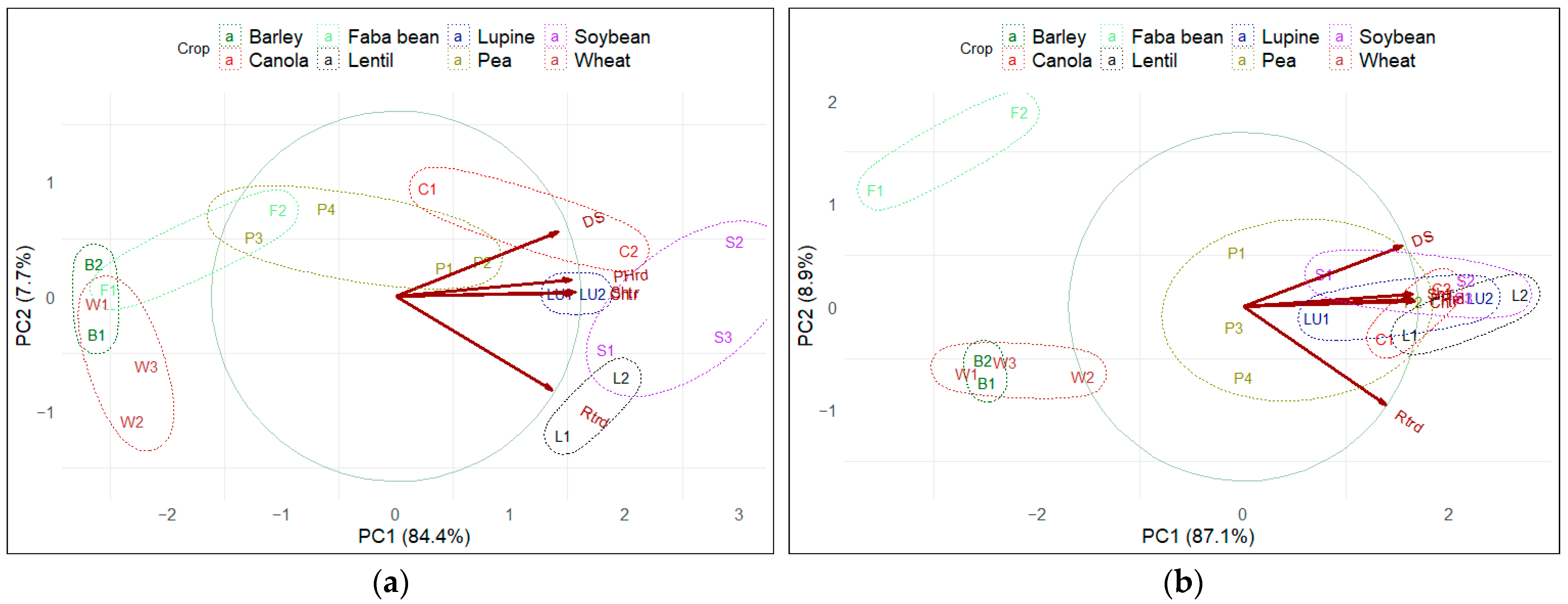 Pathogens 13 00407 g001