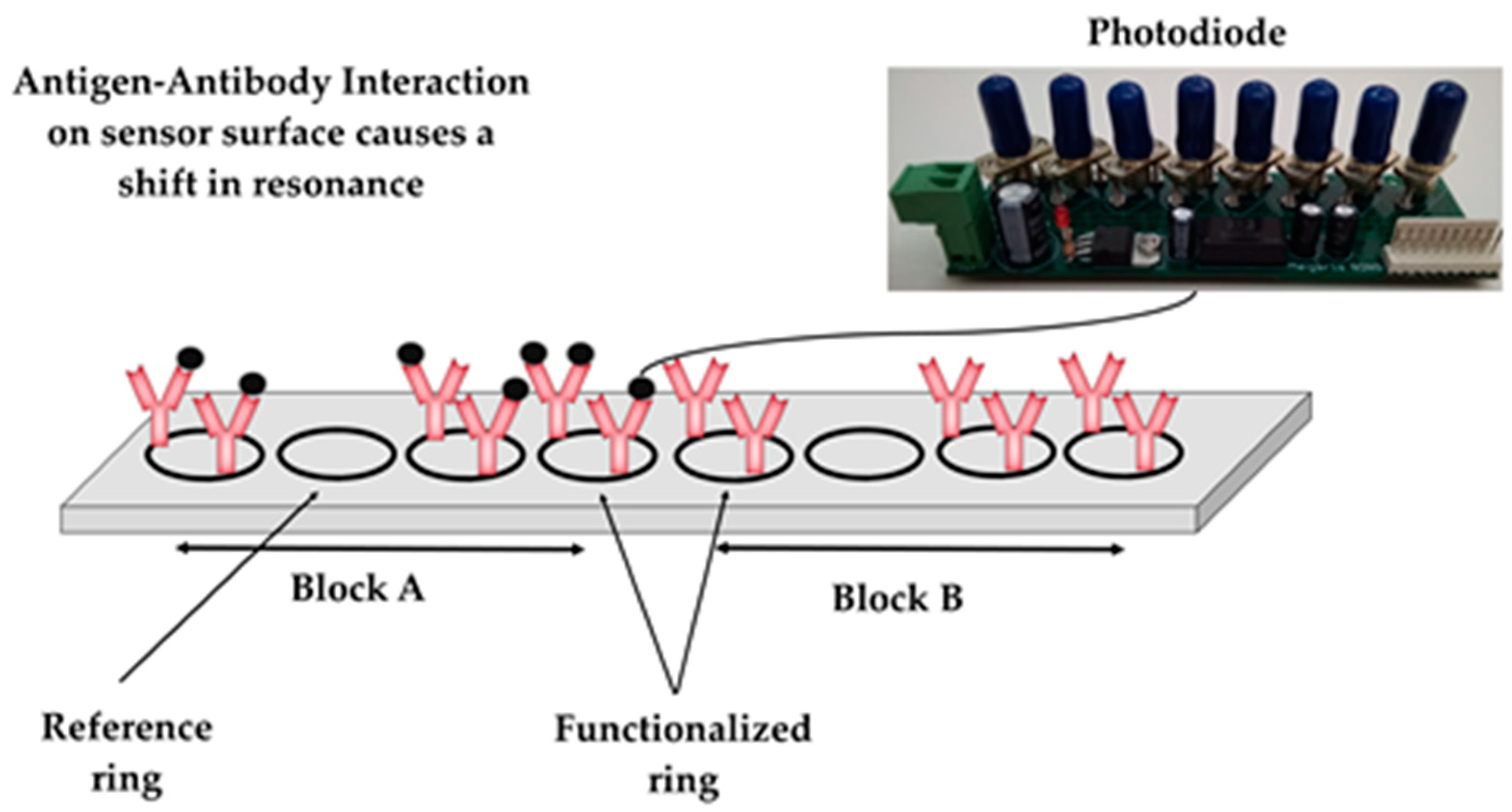 Pathogens 13 00415 g002