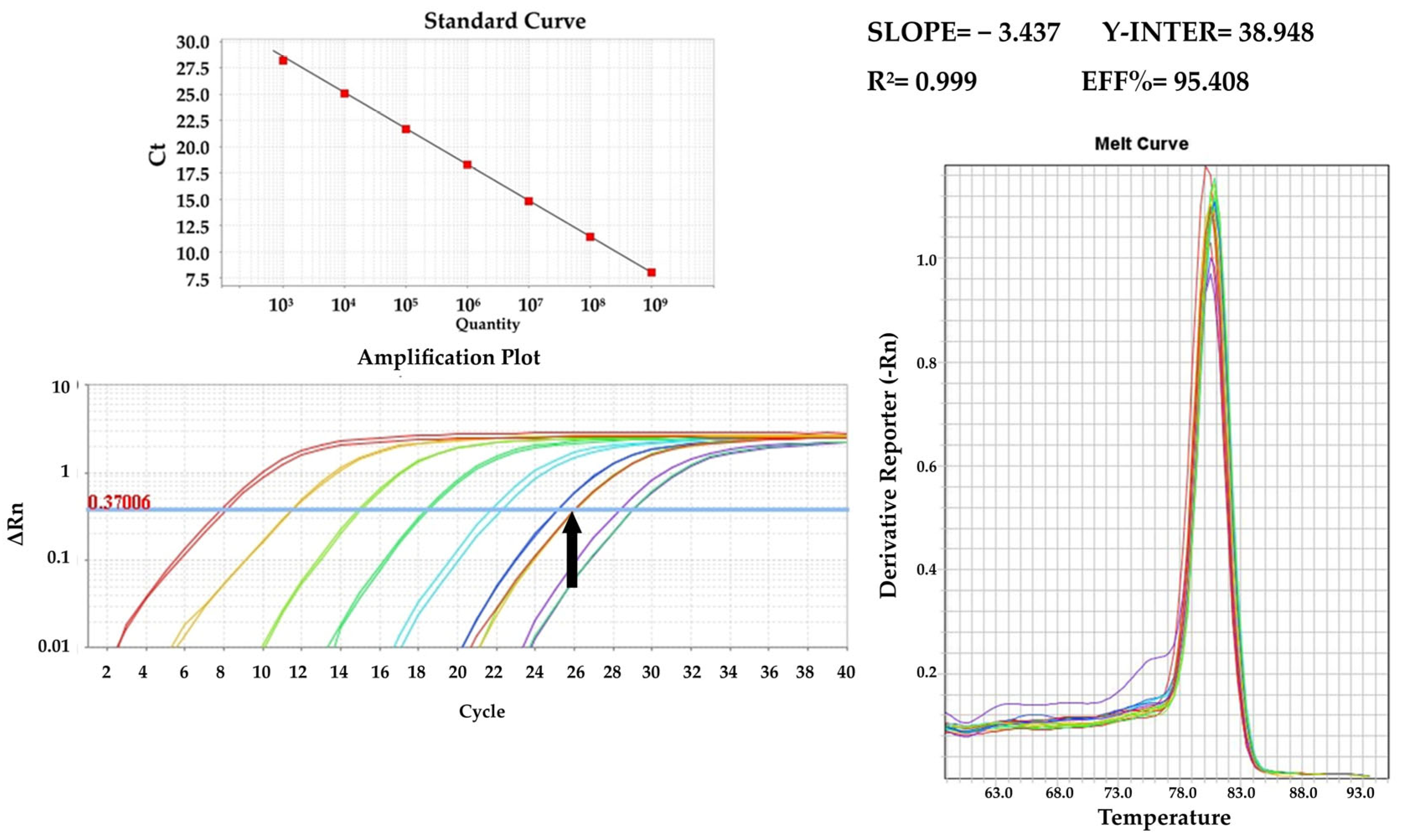 Pathogens 13 00415 g004