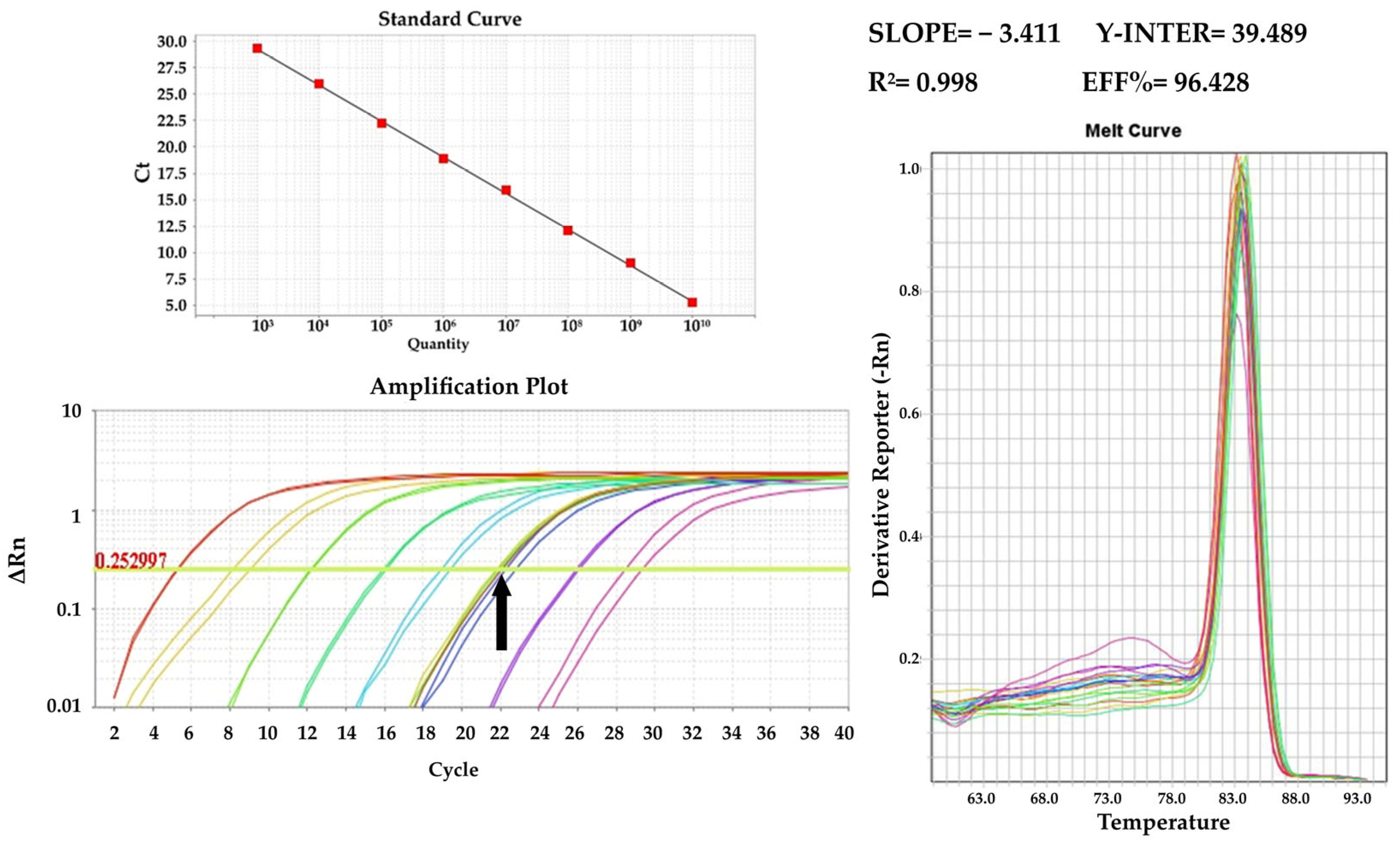 Pathogens 13 00415 g005