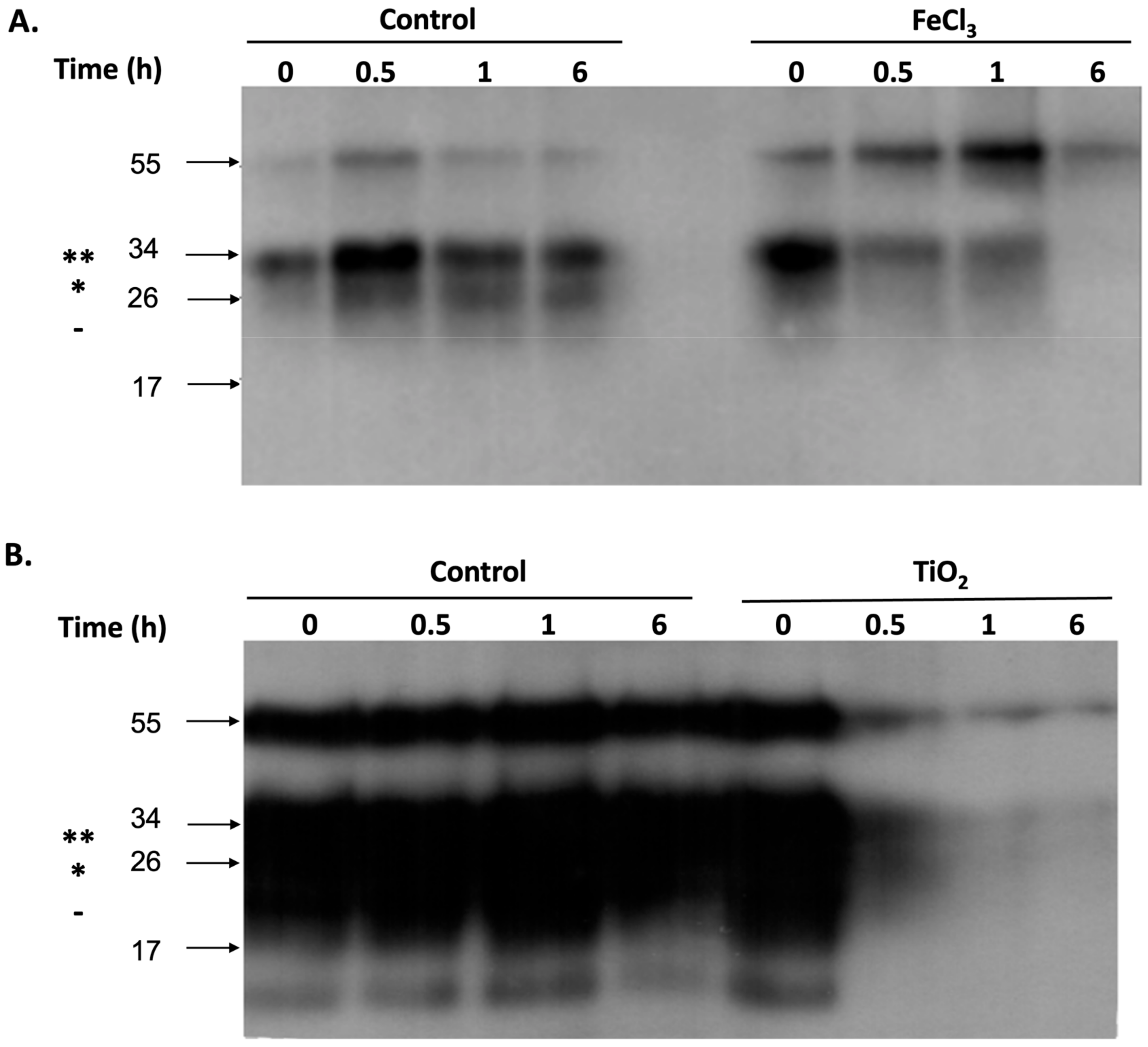 Pathogens 13 00420 g002
