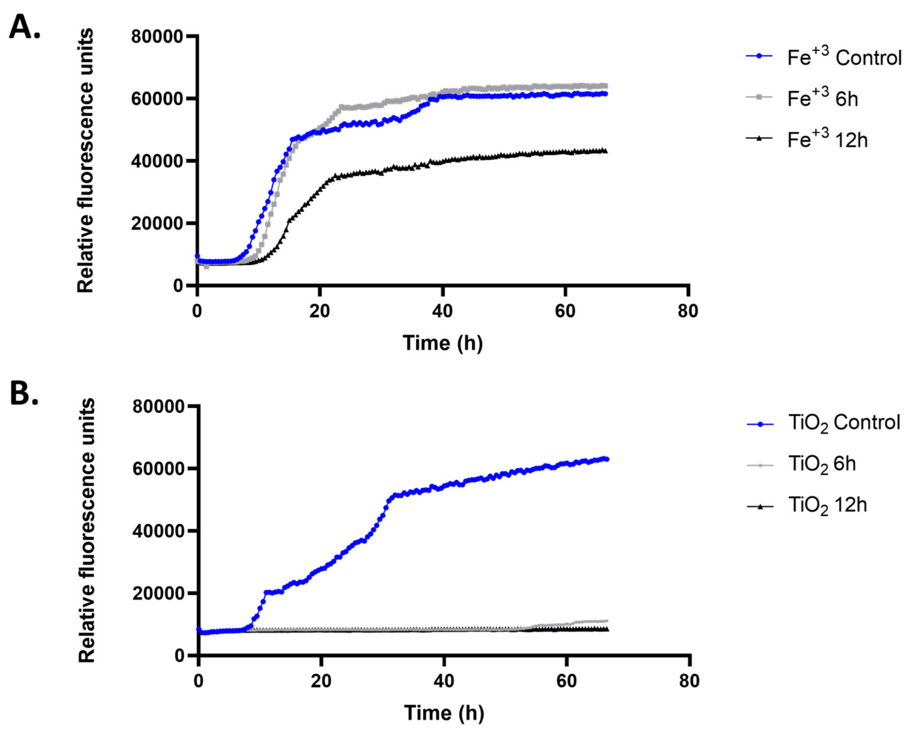 Pathogens 13 00420 g004