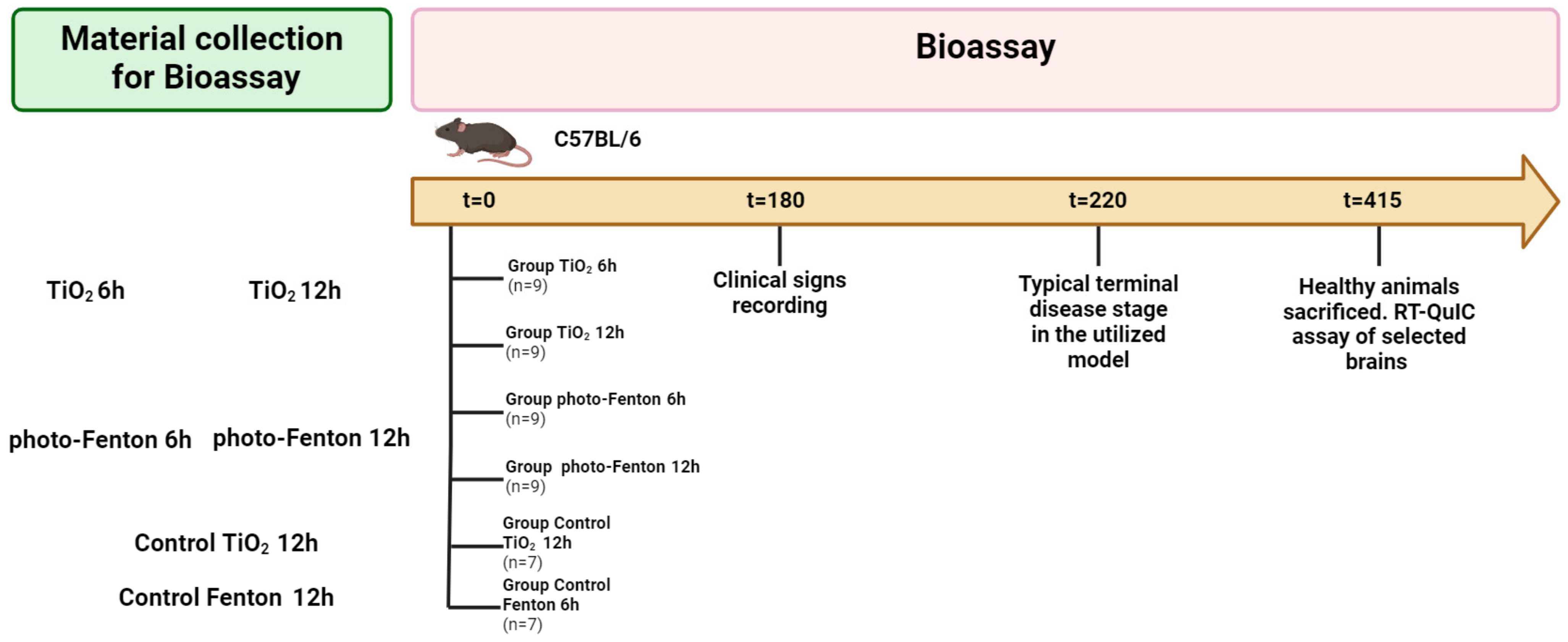 Pathogens 13 00420 sch001