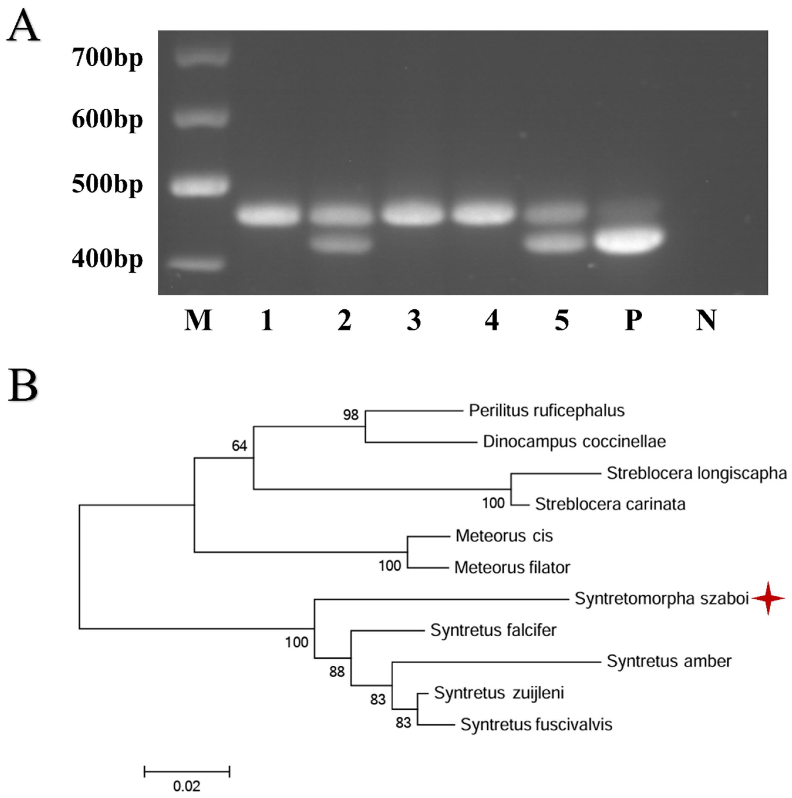 Pathogens 13 00422 g005