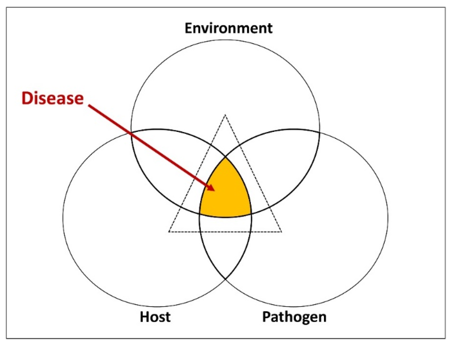 Pathogens 13 00426 g001