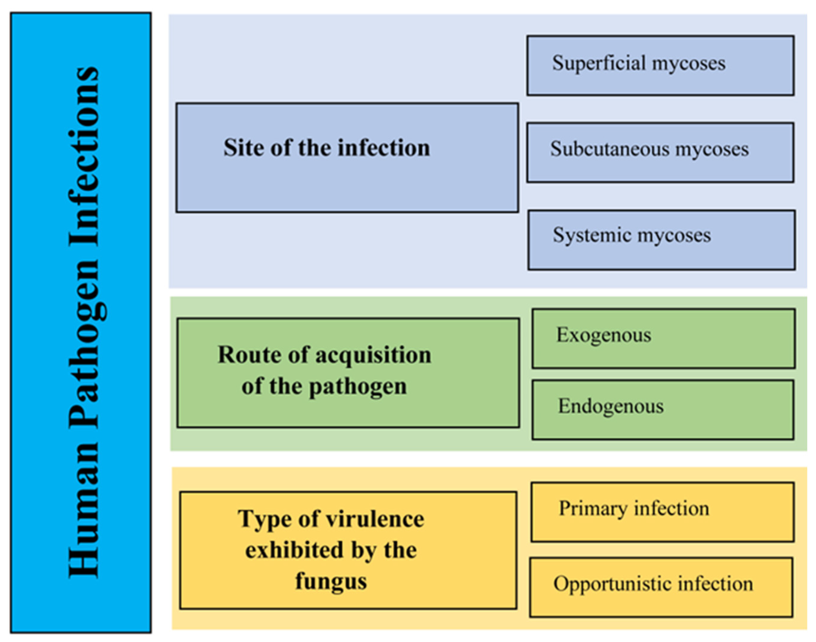 Pathogens 13 00426 g002