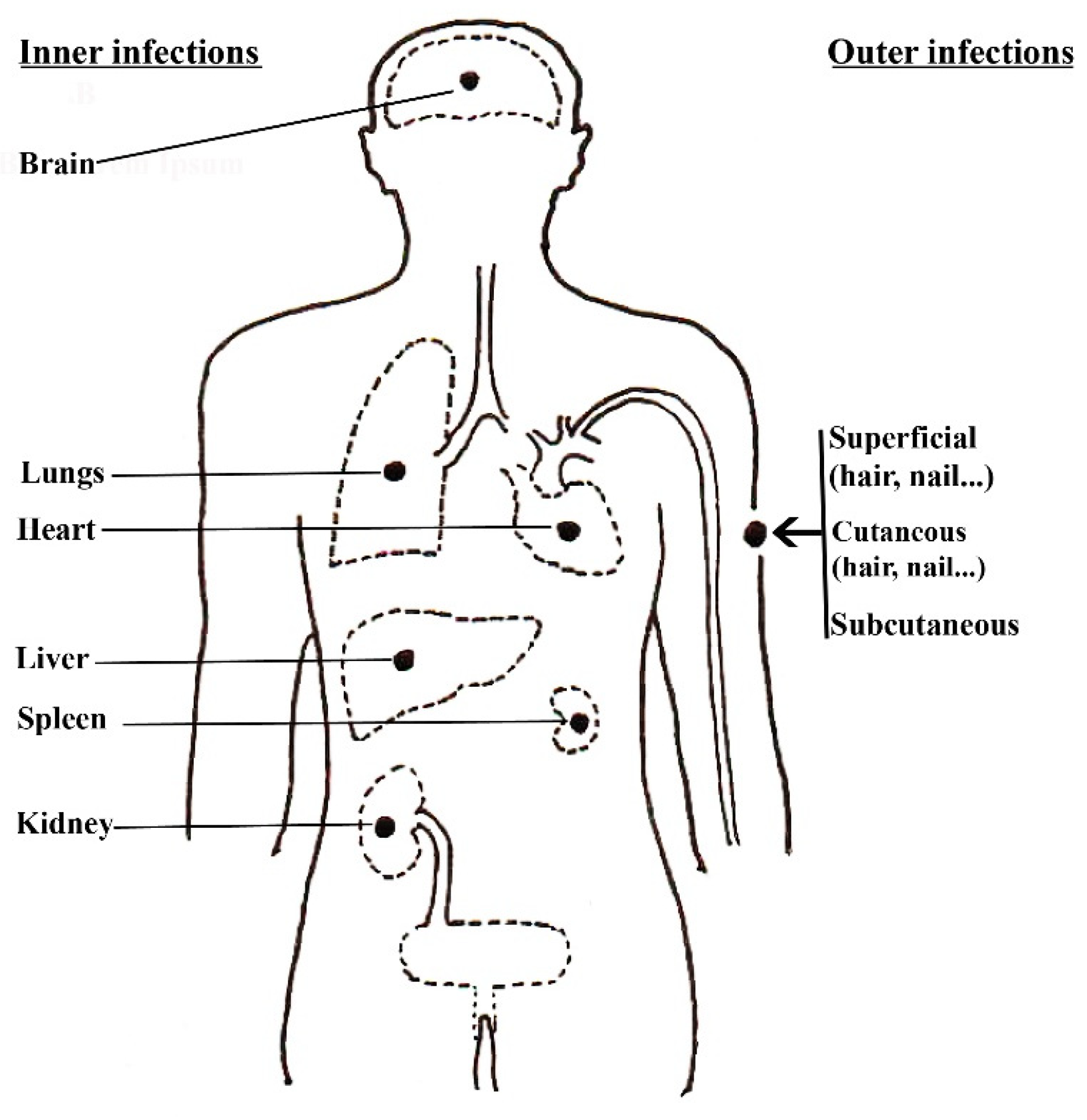 Pathogens 13 00426 g003