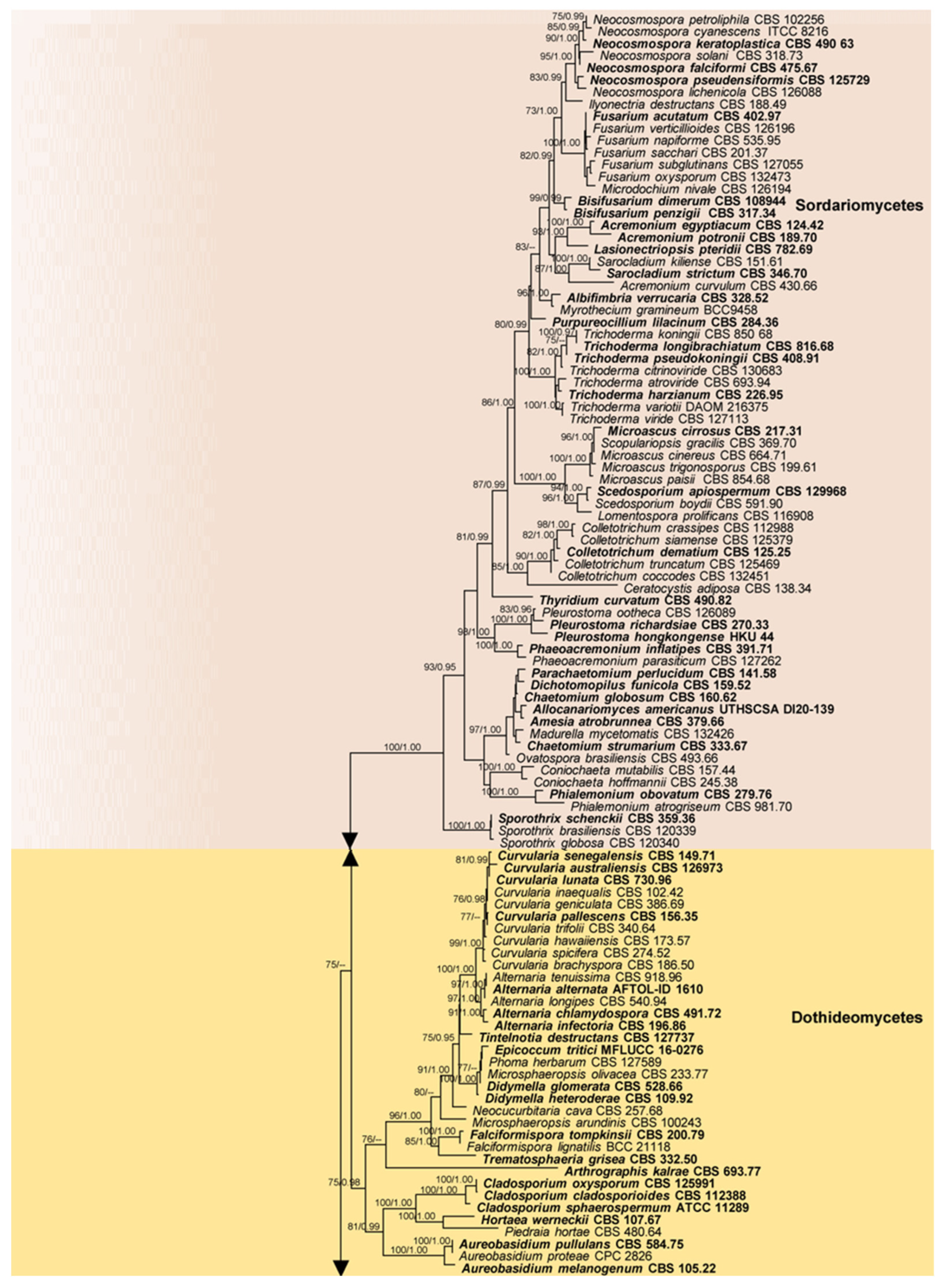 Pathogens 13 00426 g005a
