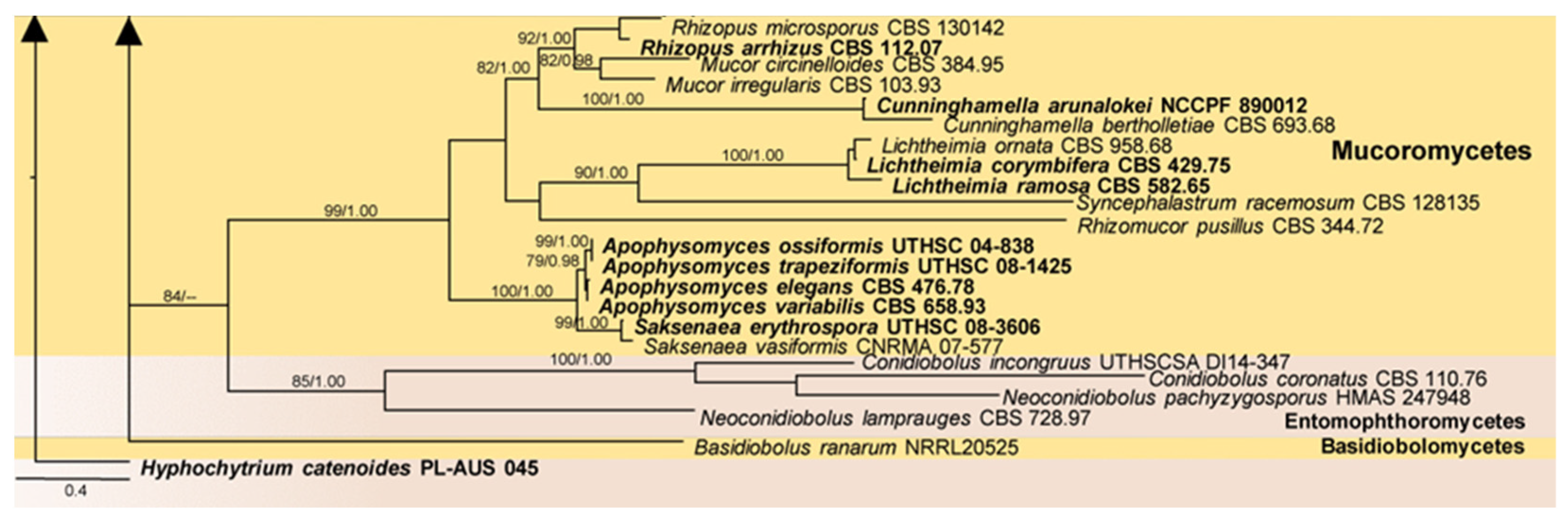 Pathogens 13 00426 g005c