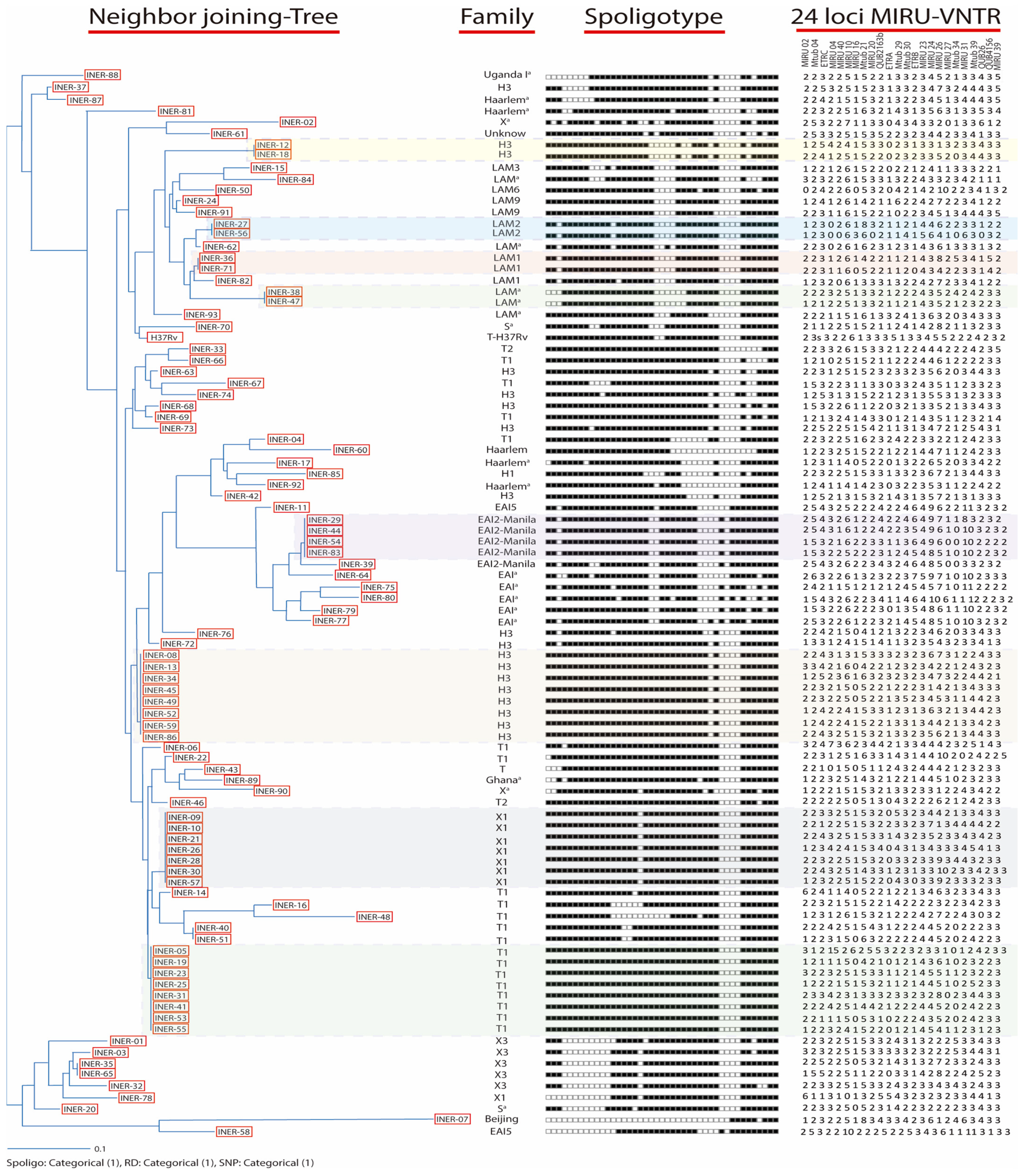 Pathogens 13 00428 g002 Pathogens 13 00428 g002
