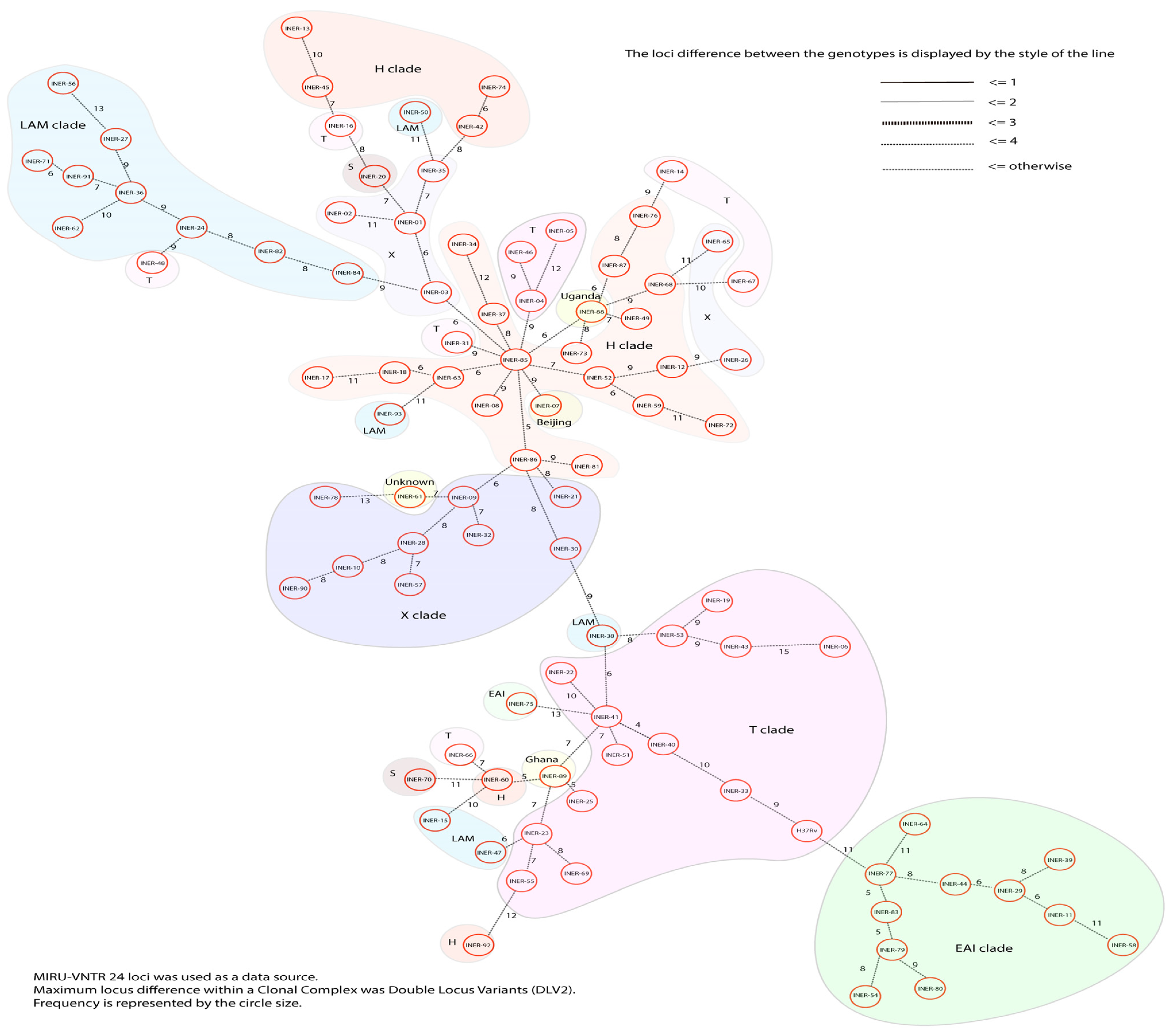 Pathogens 13 00428 g003 Pathogens 13 00428 g003