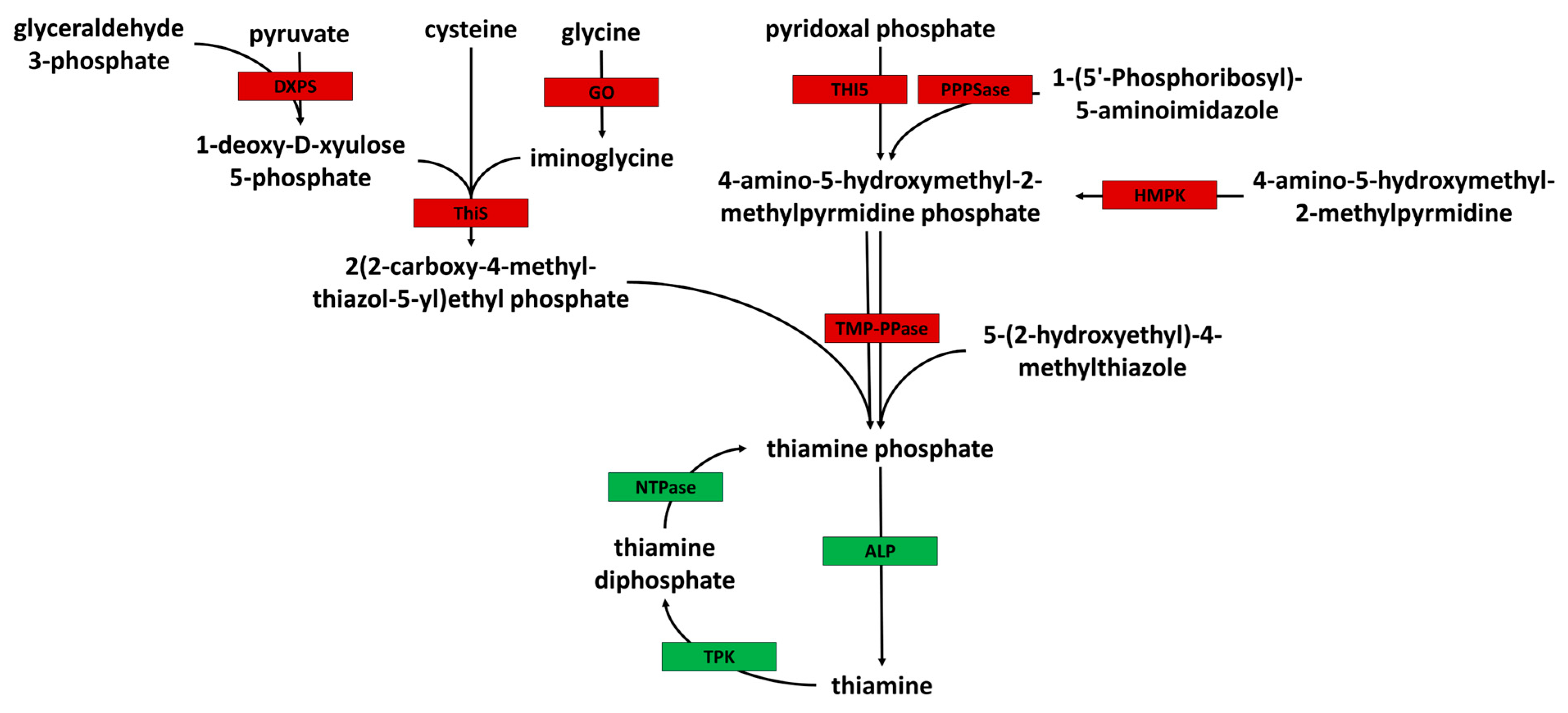 Pathogens 13 00431 g005
