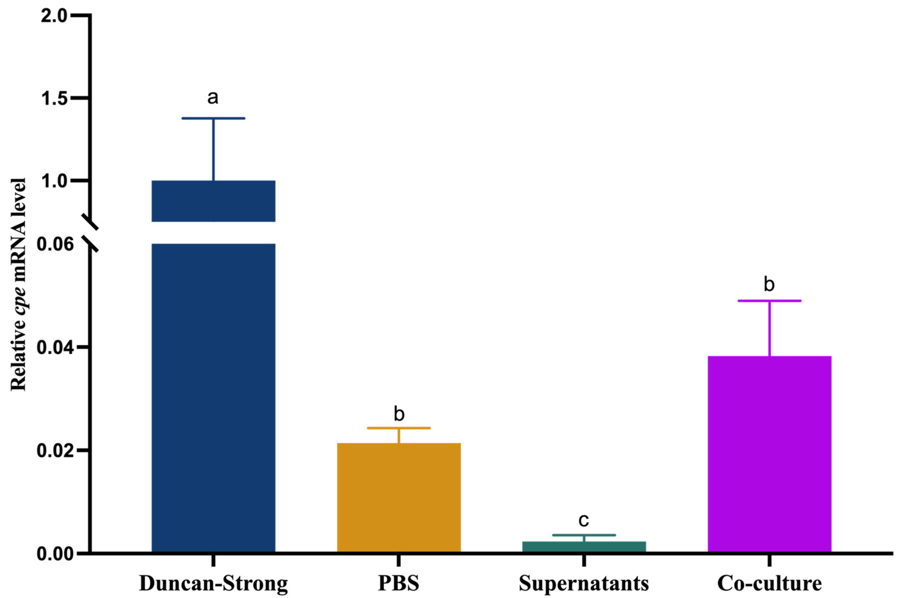 Pathogens 13 00433 g004
