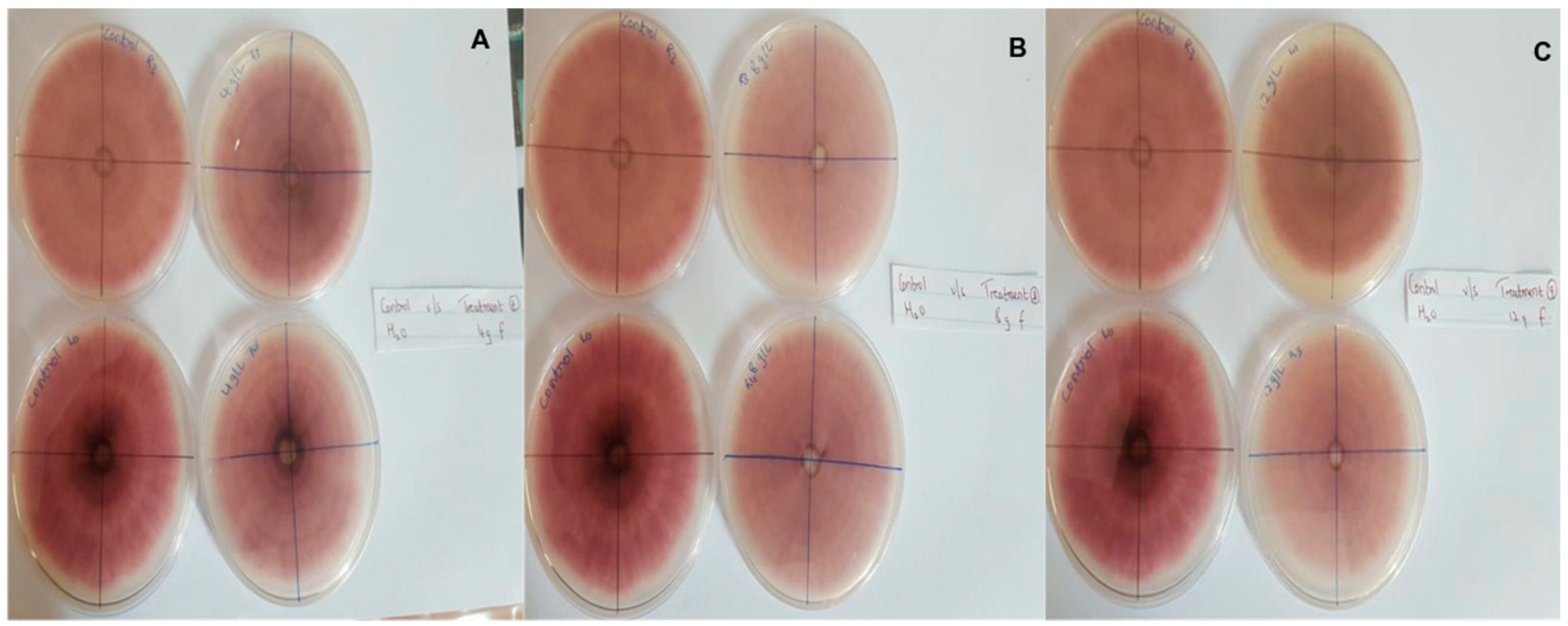 Pathogens 13 00436 g004
