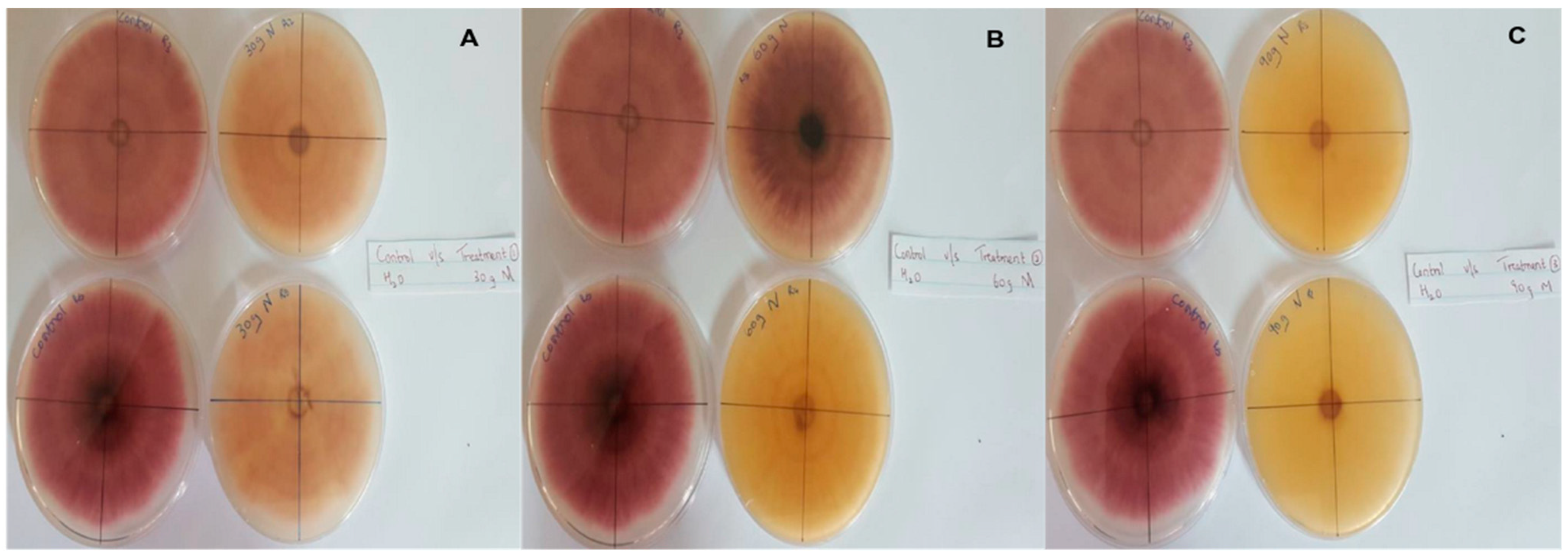 Pathogens 13 00436 g007
