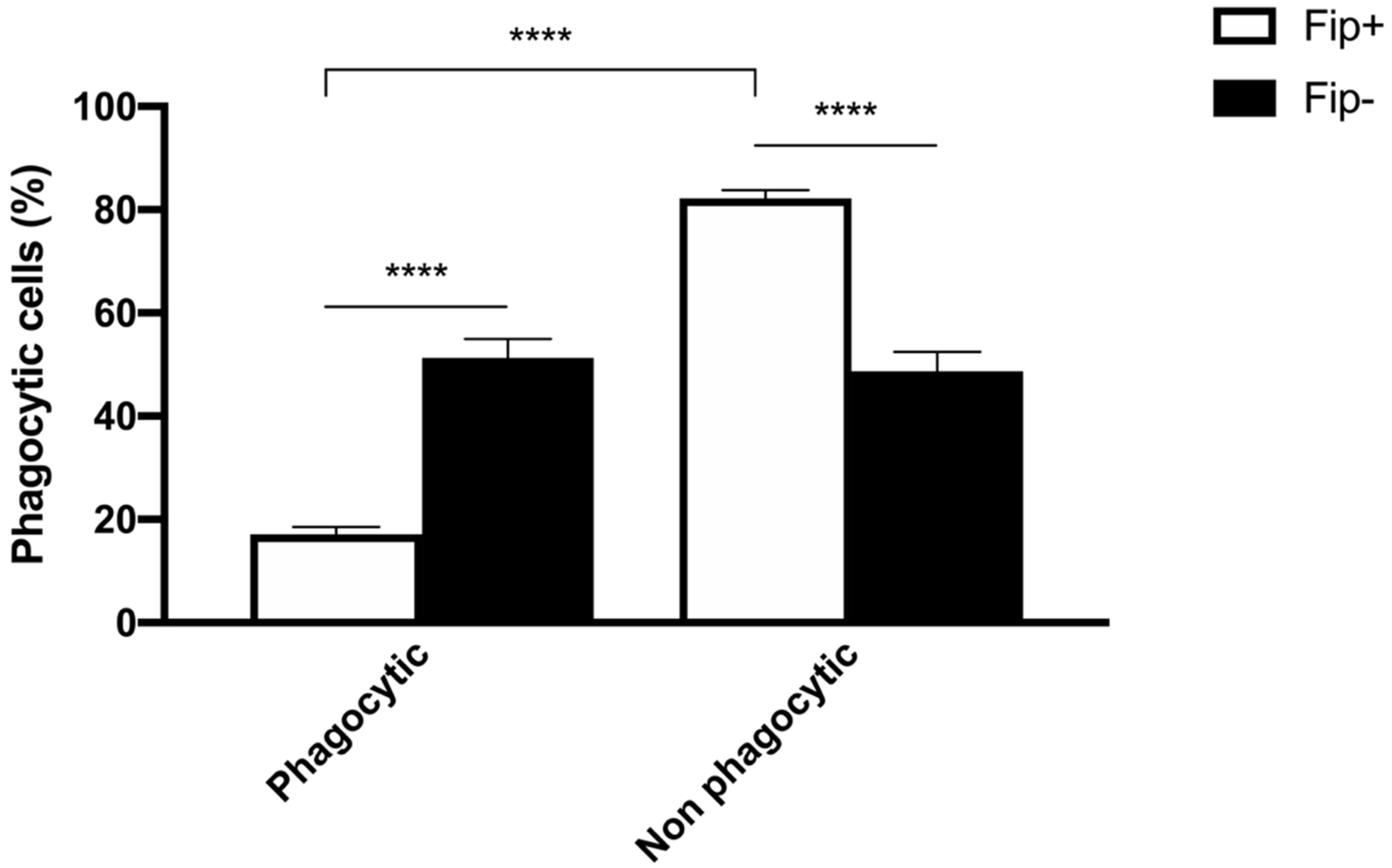 Pathogens 13 00437 g003