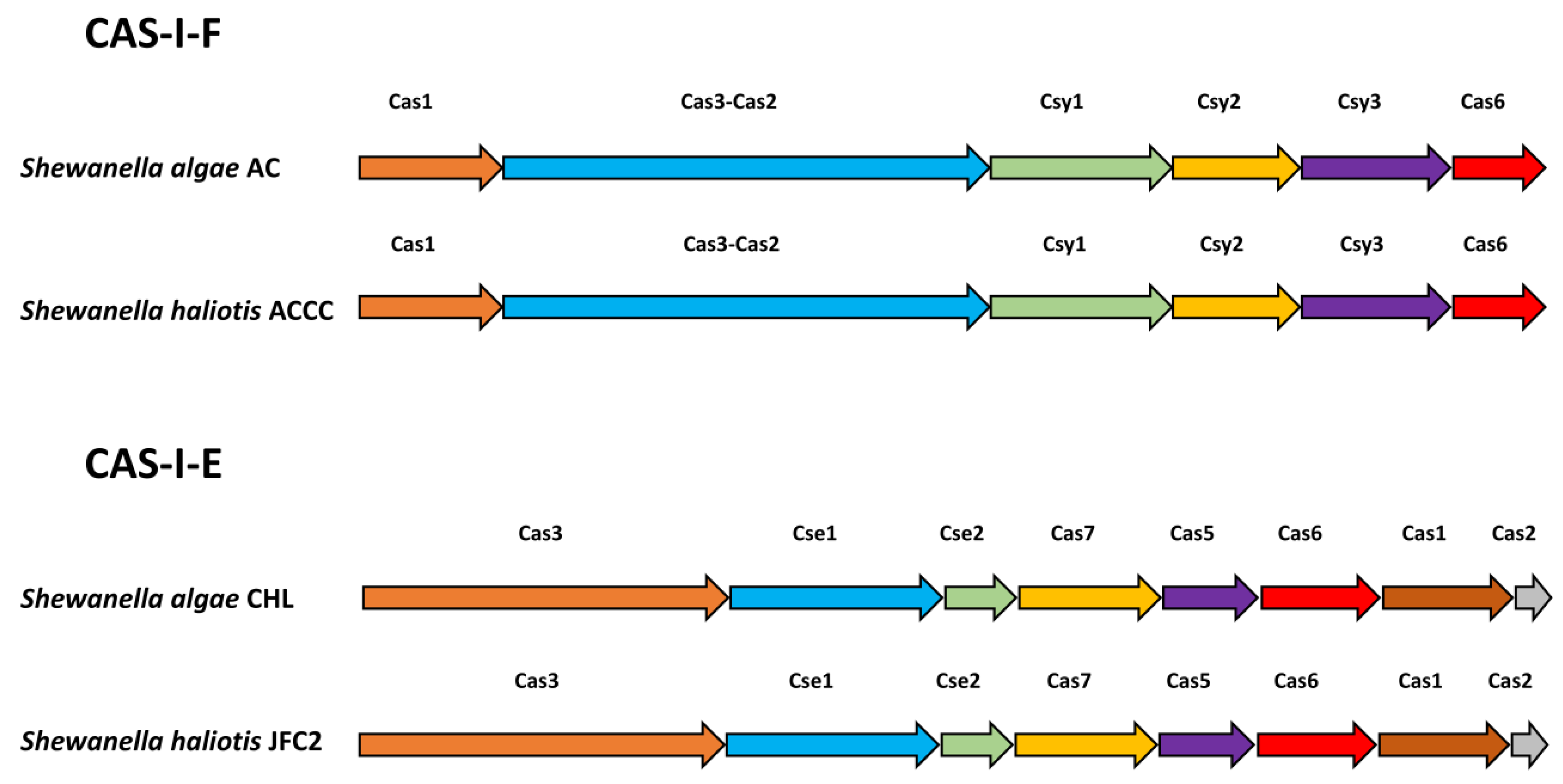 Pathogens 13 00439 g001