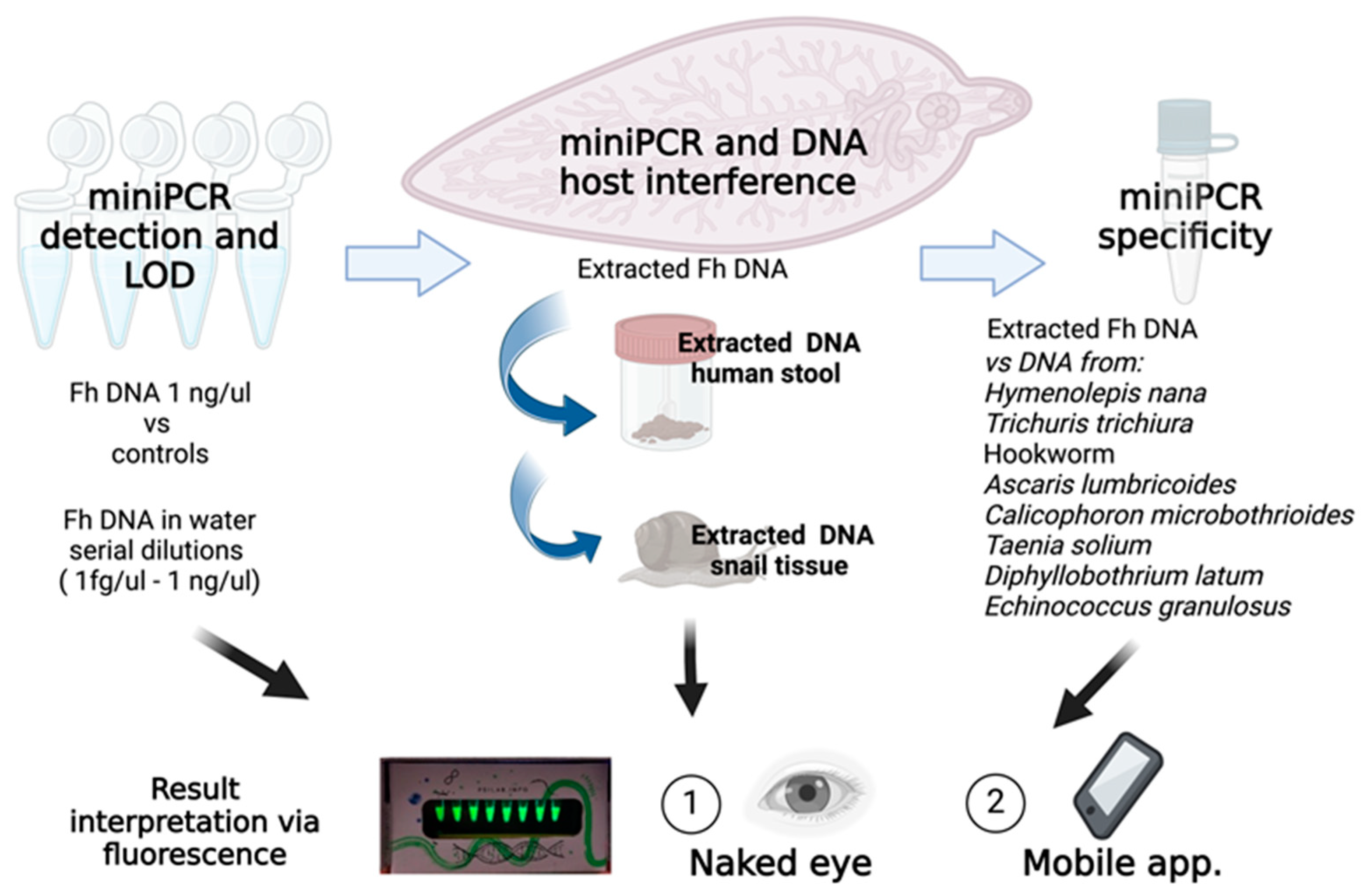Pathogens 13 00440 g001