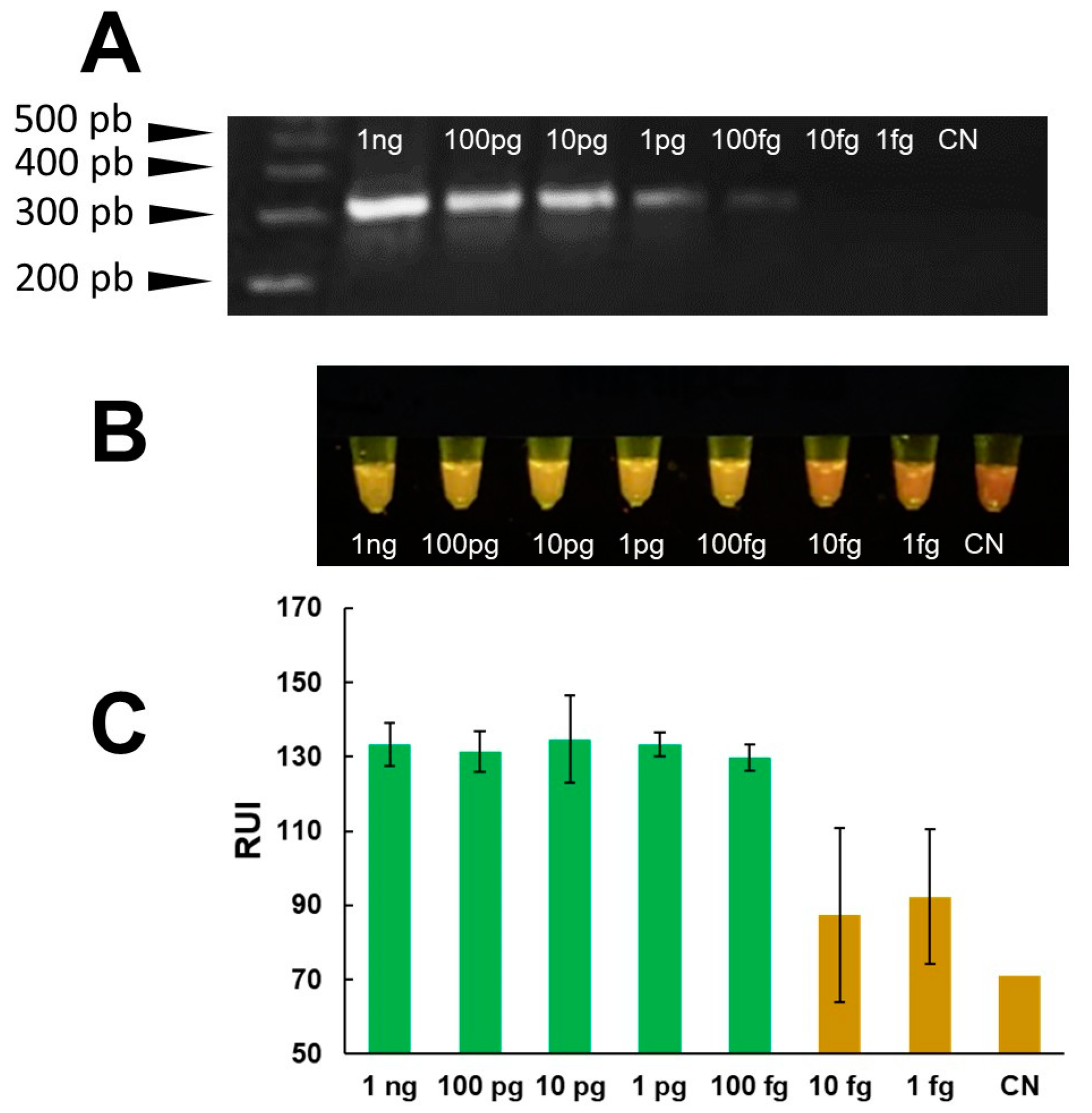 Pathogens 13 00440 g005
