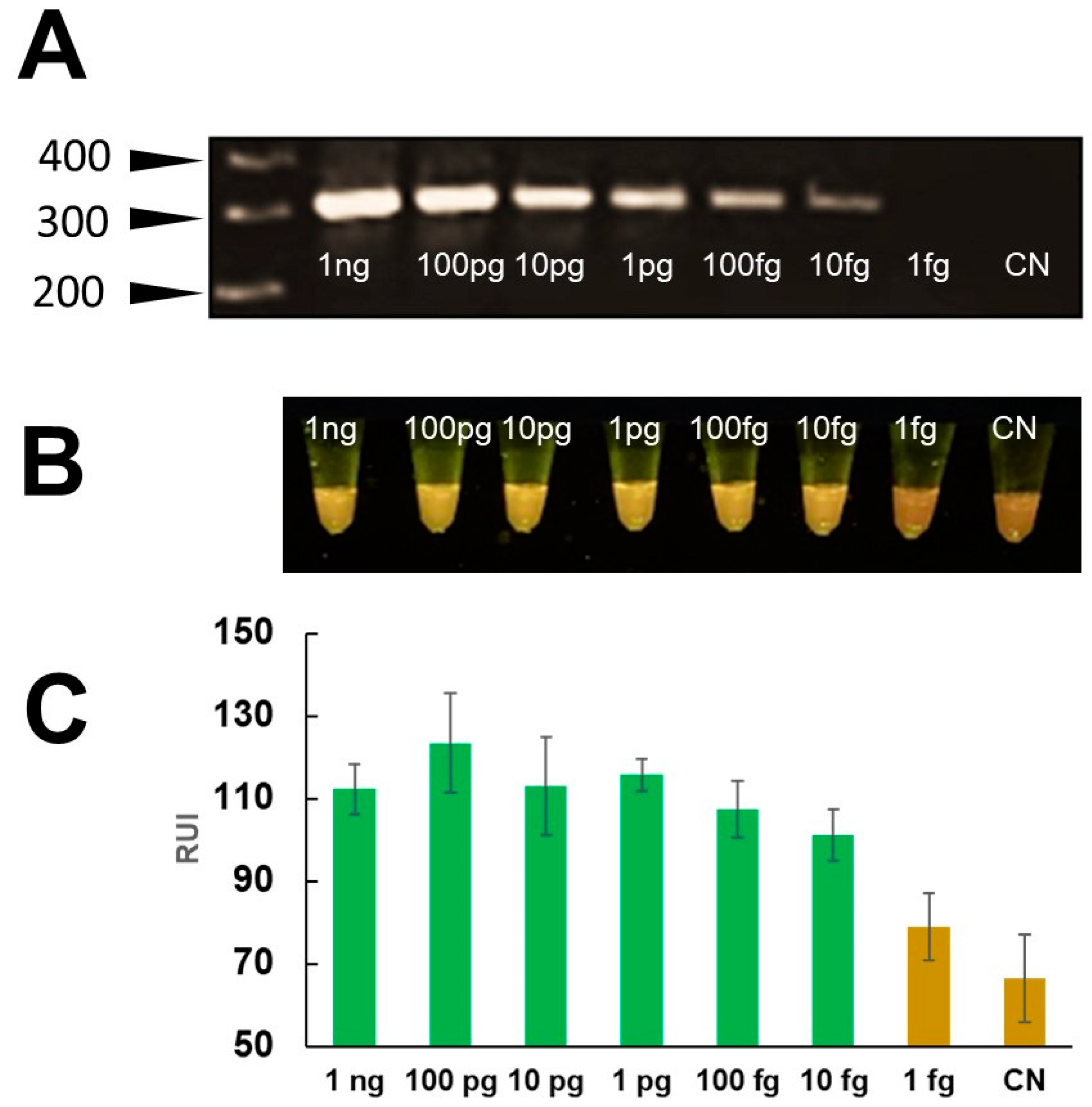 Pathogens 13 00440 g006
