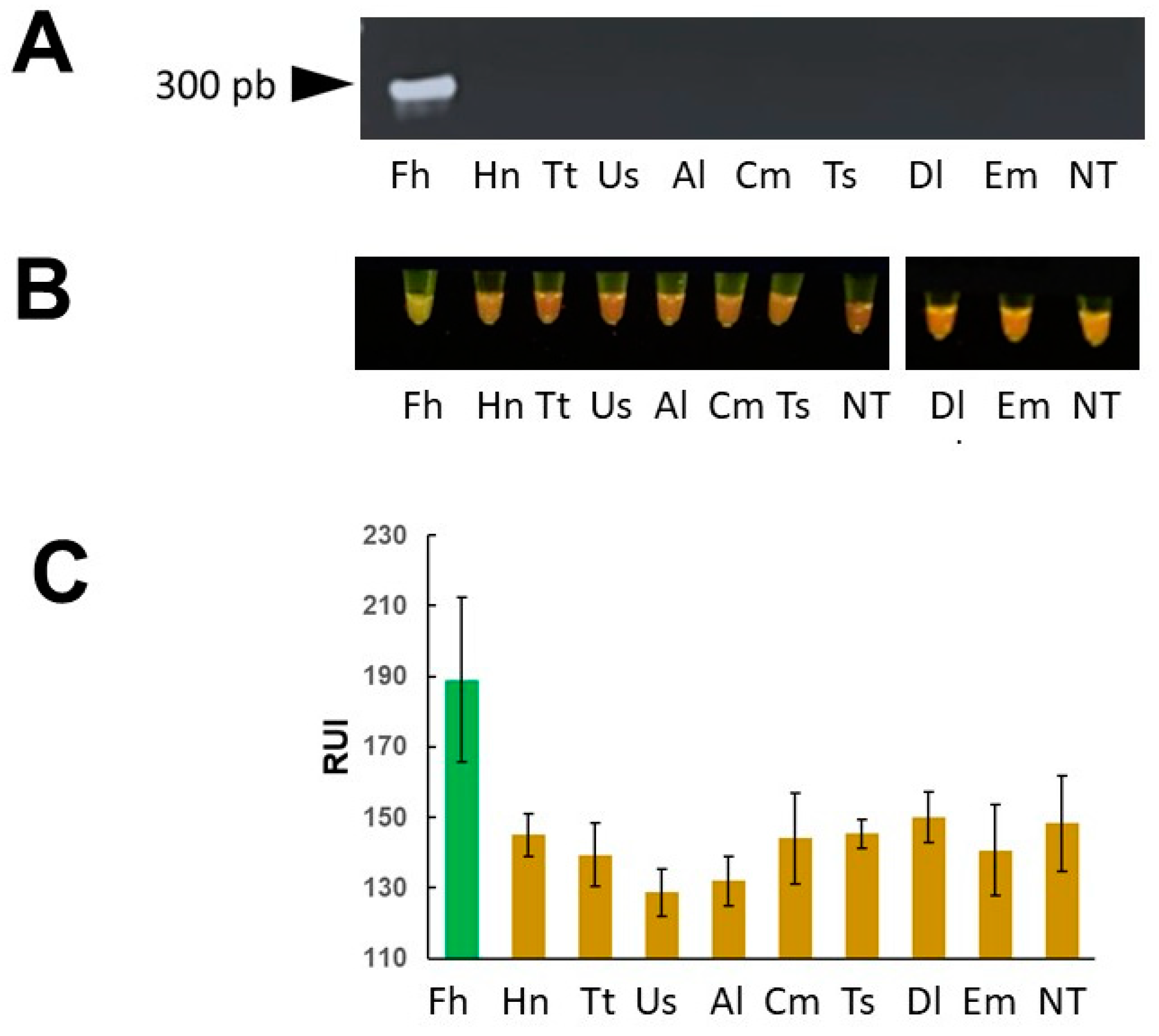 Pathogens 13 00440 g007