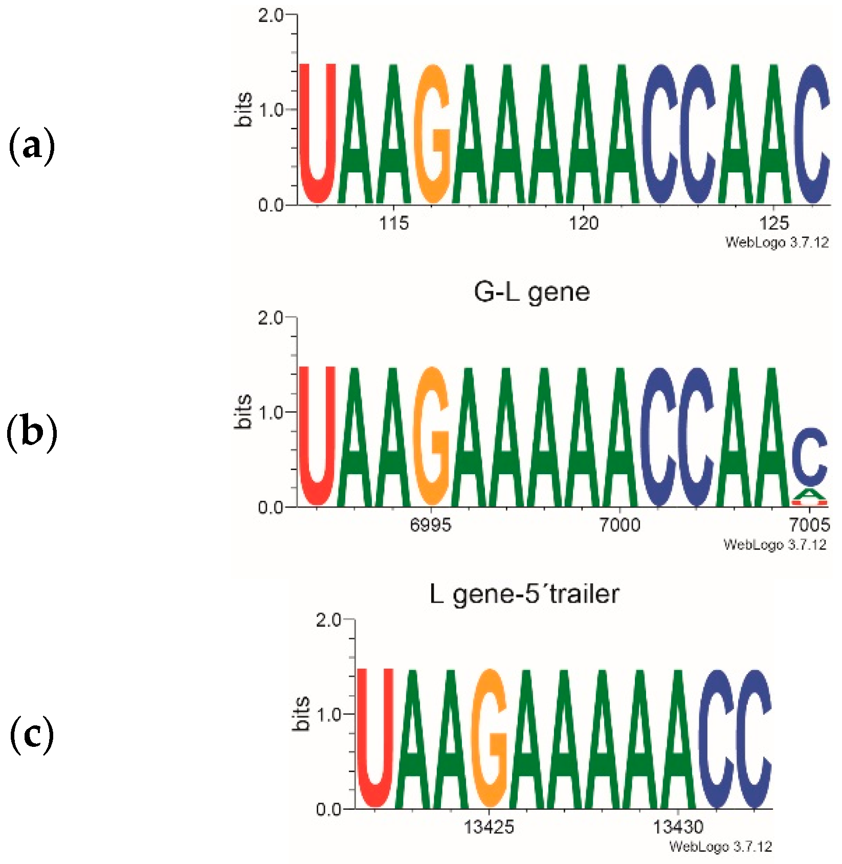 Pathogens 13 00445 g003