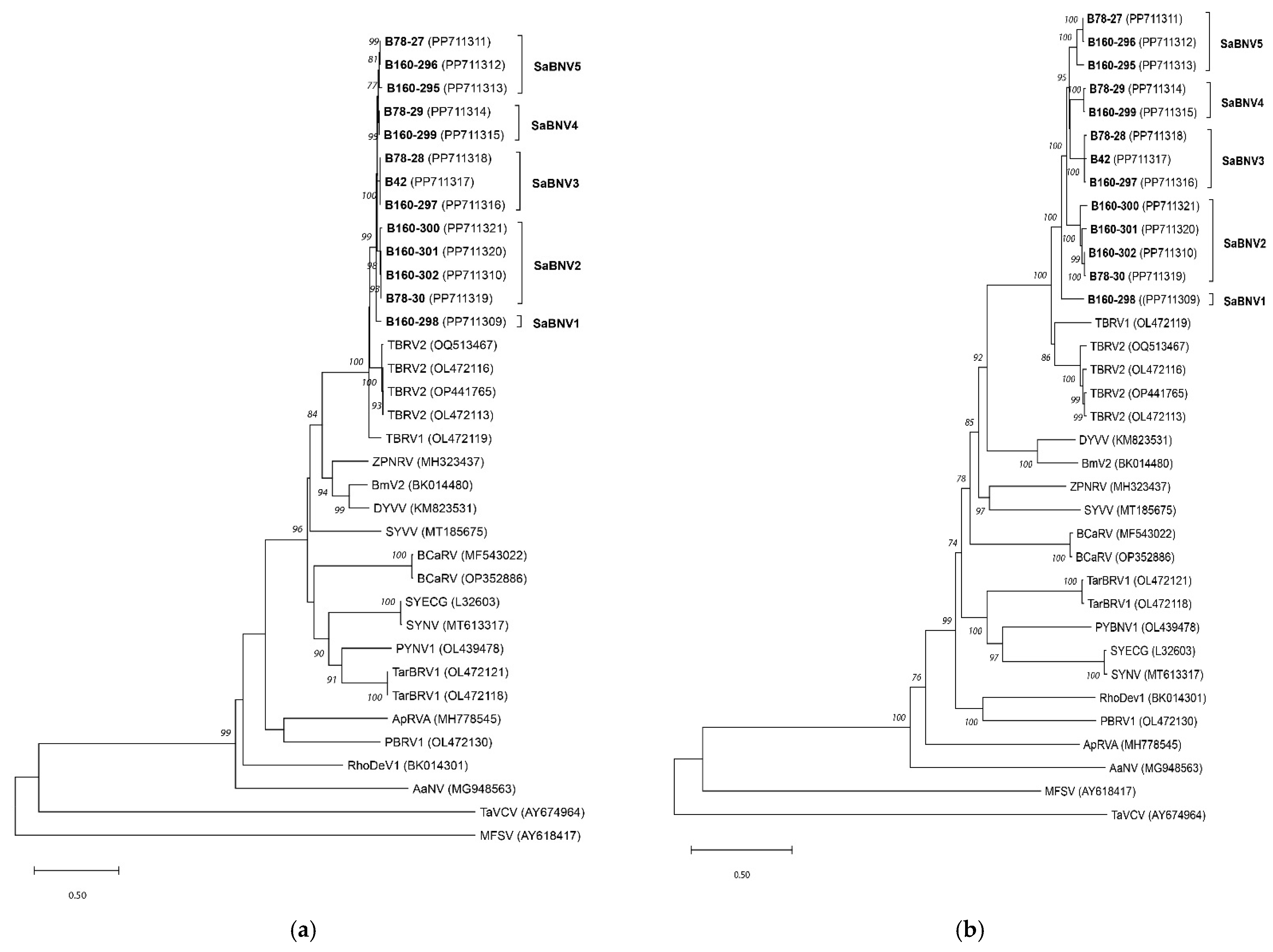 Pathogens 13 00445 g005