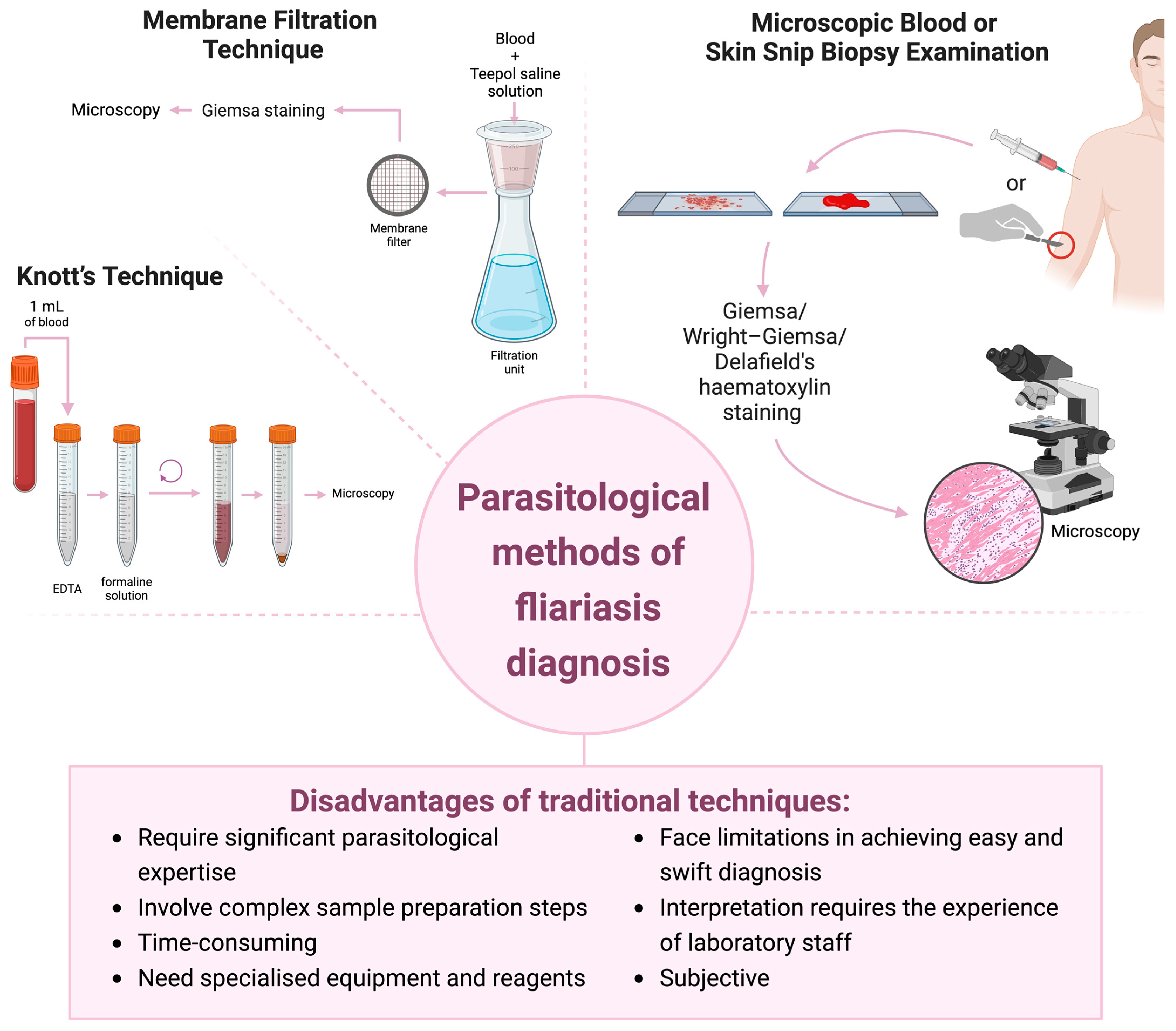 Pathogens 13 00447 g003
