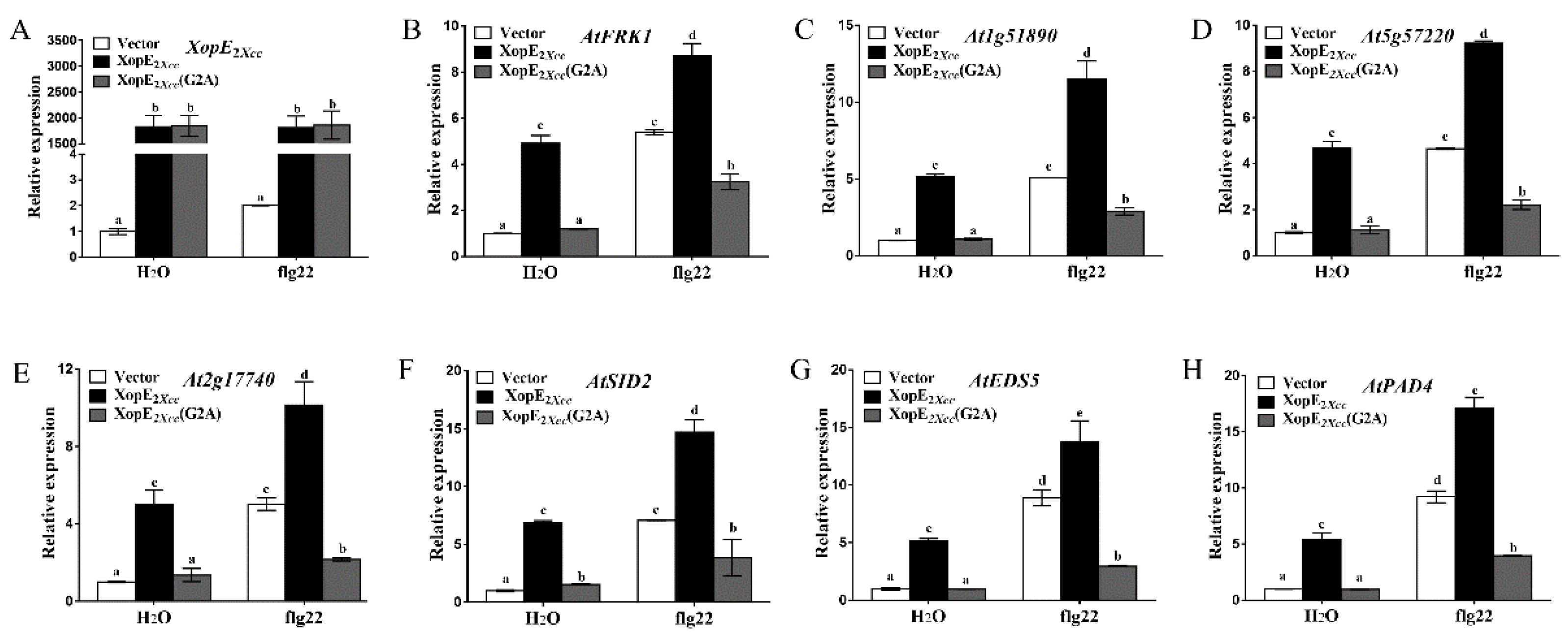 Pathogens 13 00448 g006