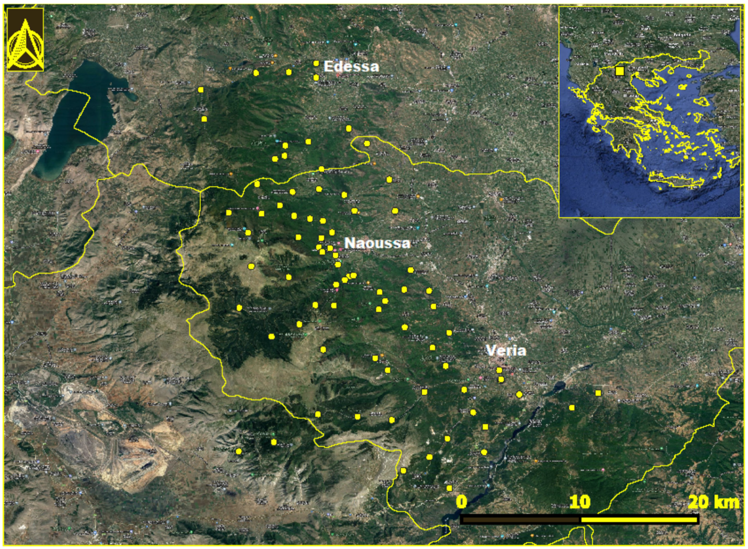 Pathogens 13 00449 g001