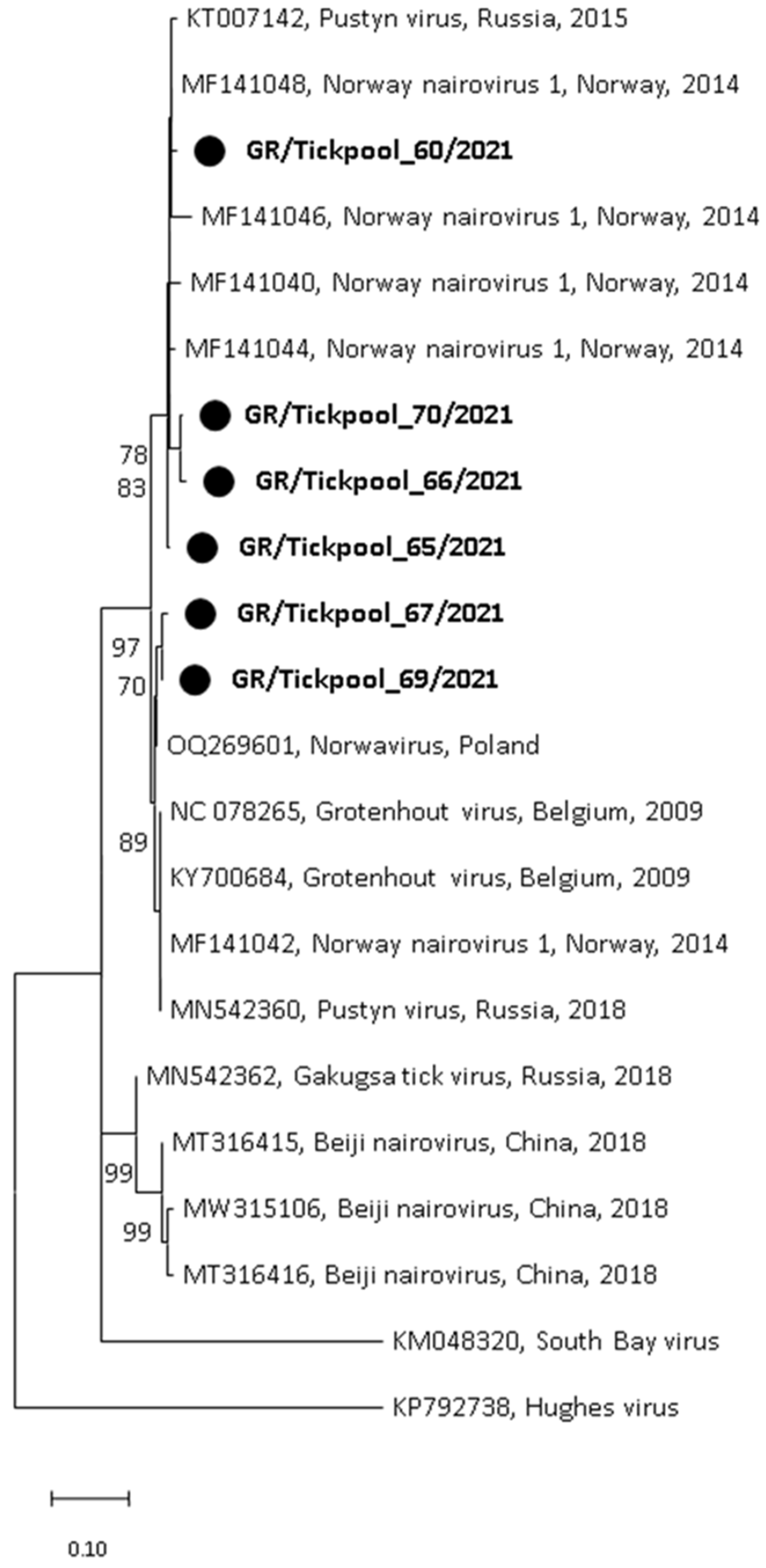 Pathogens 13 00449 g004