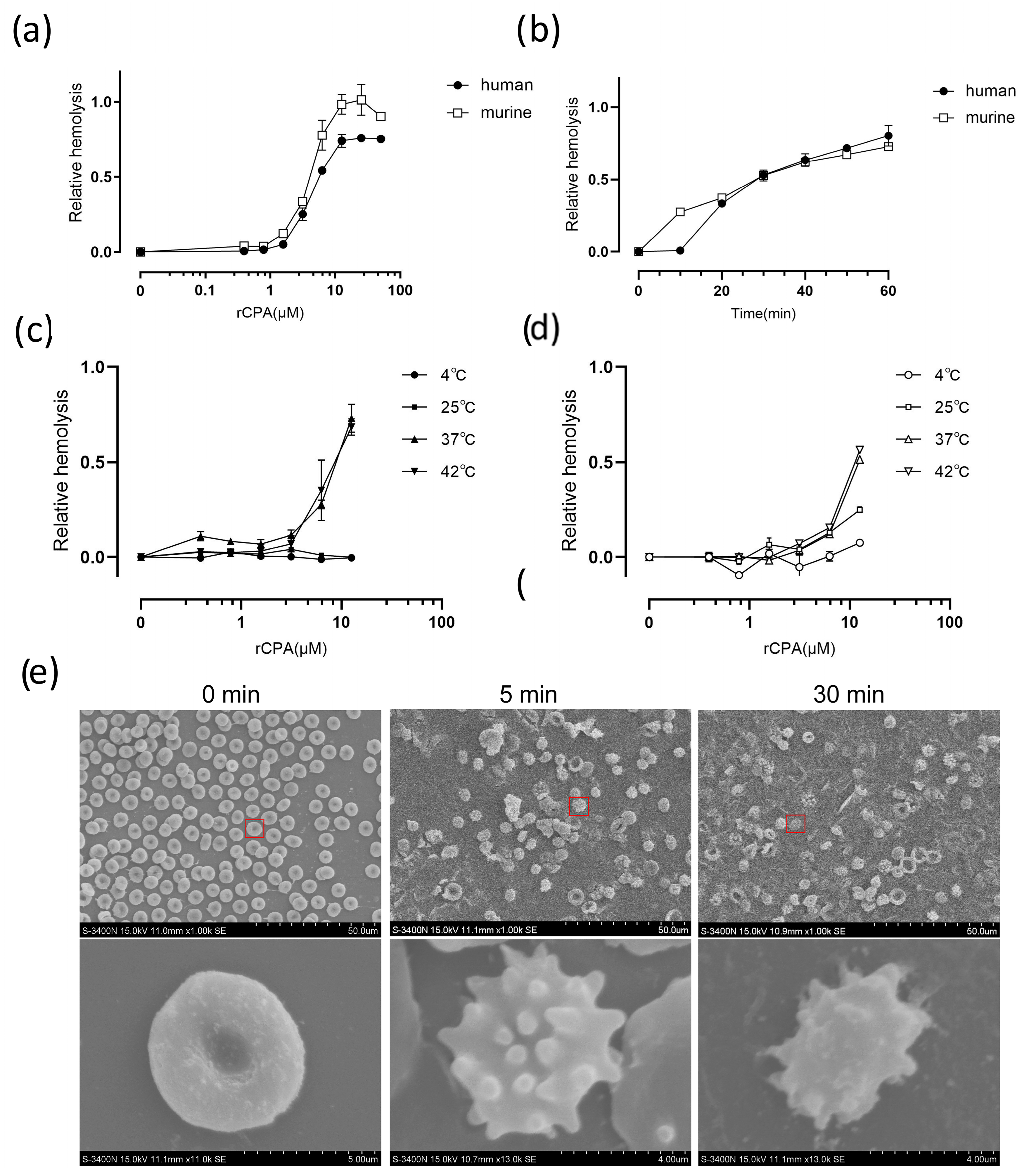 Pathogens 13 00454 g001