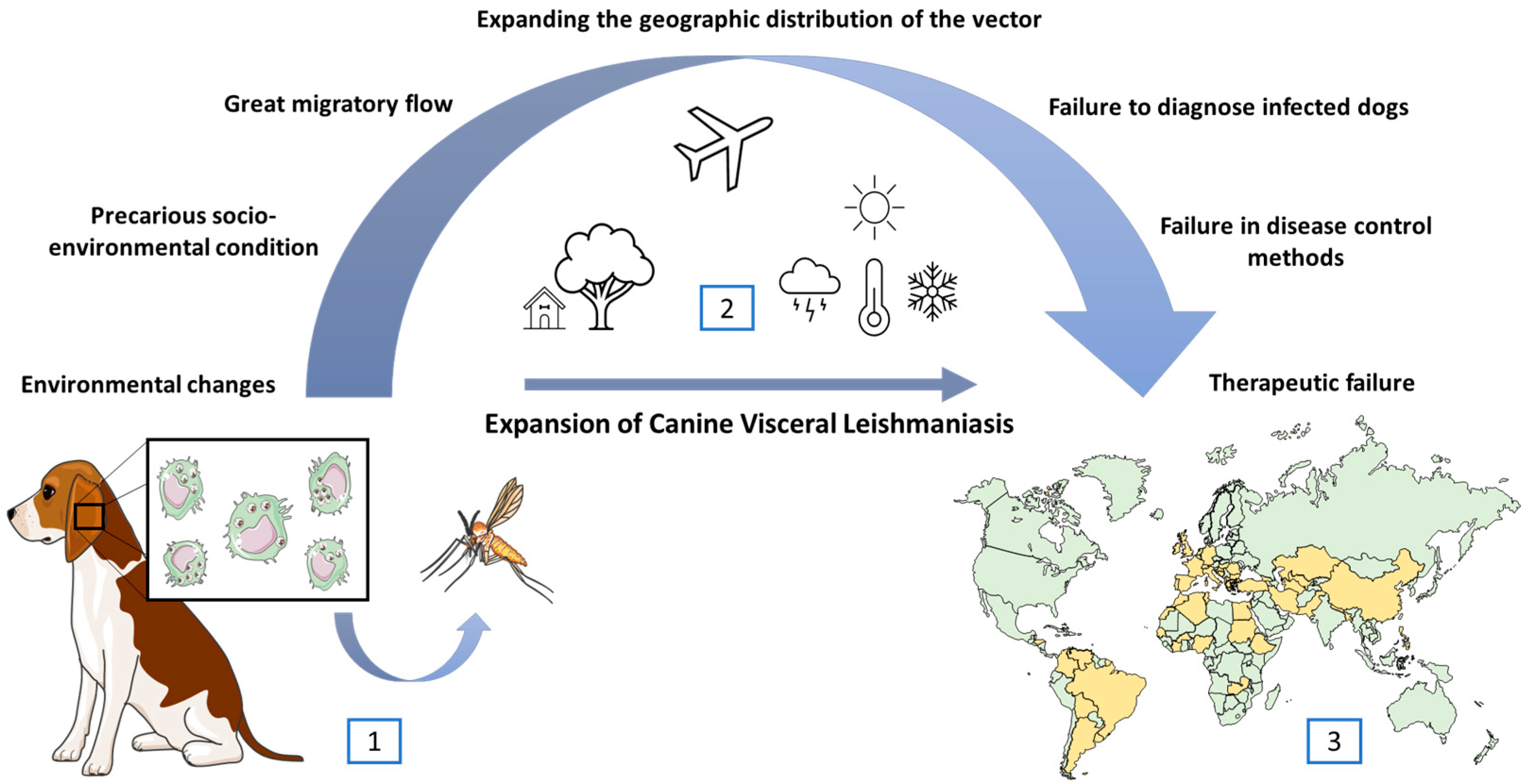 Pathogens 13 00455 g001