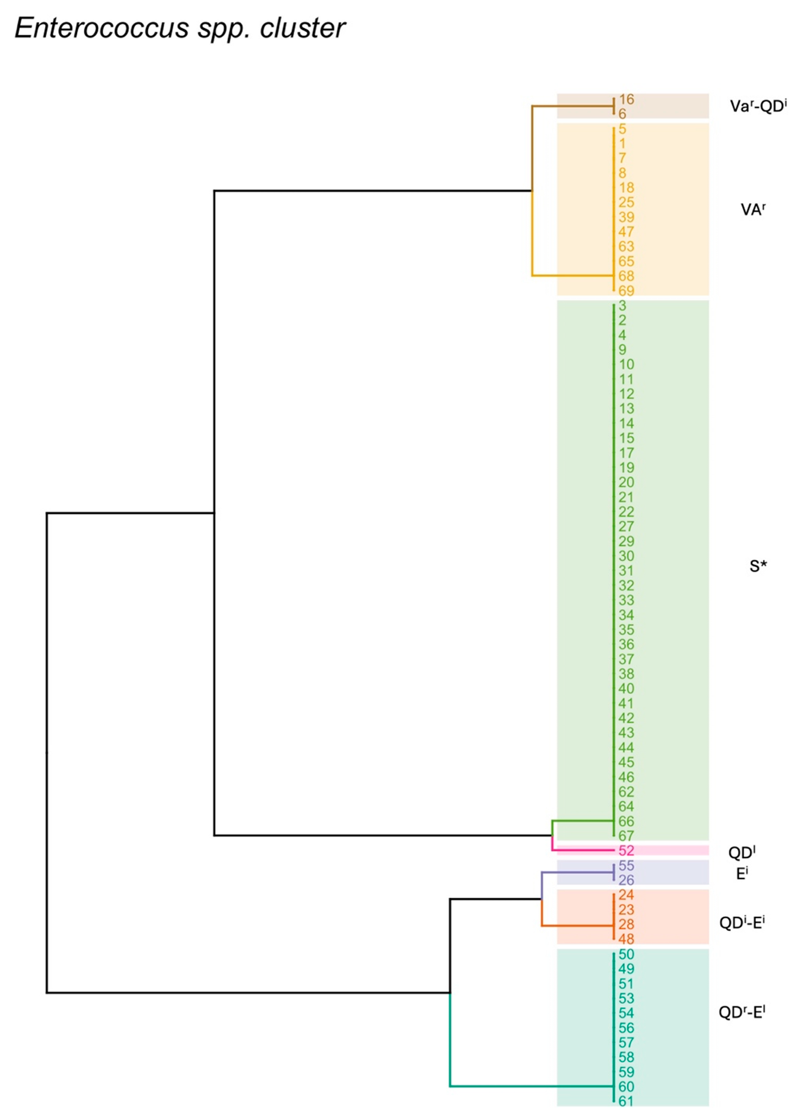 Pathogens 13 00456 g001