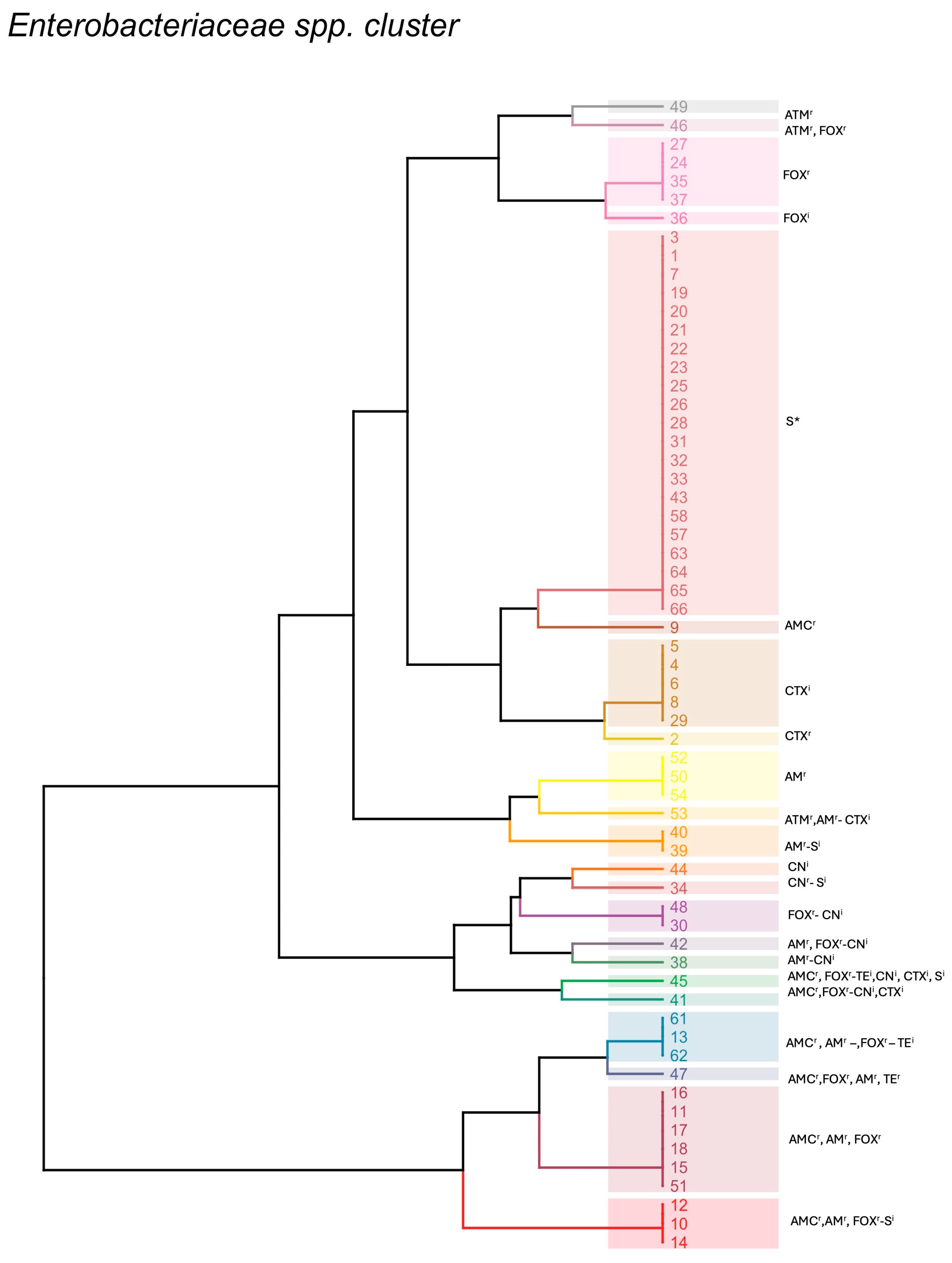Pathogens 13 00456 g002